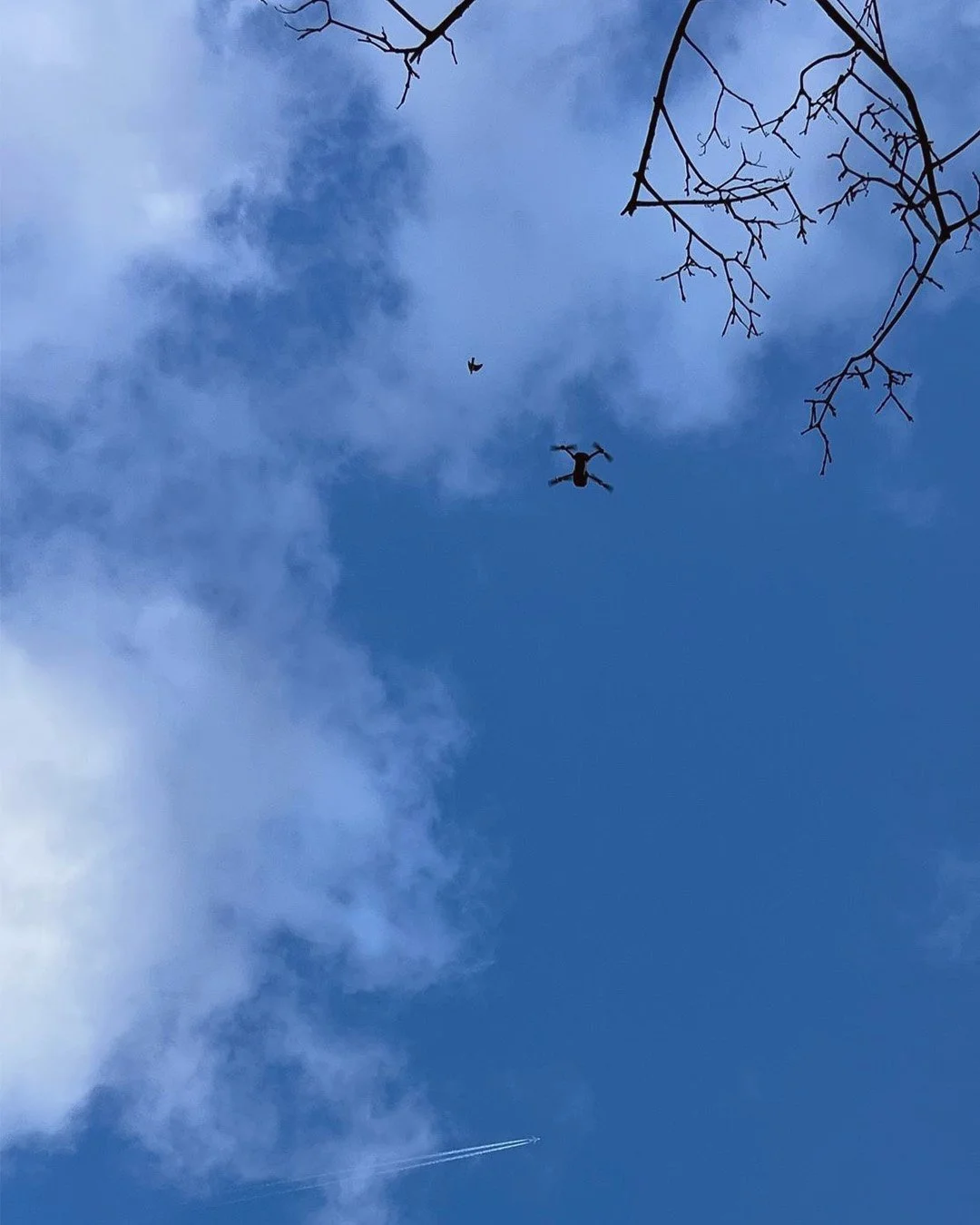 Is it a bird? Is it a plane? Actually, it&rsquo;s both... and a drone! 

We caught this moment during a site visit in Devon last week. While we were busy using the drone to get a proper feel for the landscape and site orientation!

#FoliaArchitects #