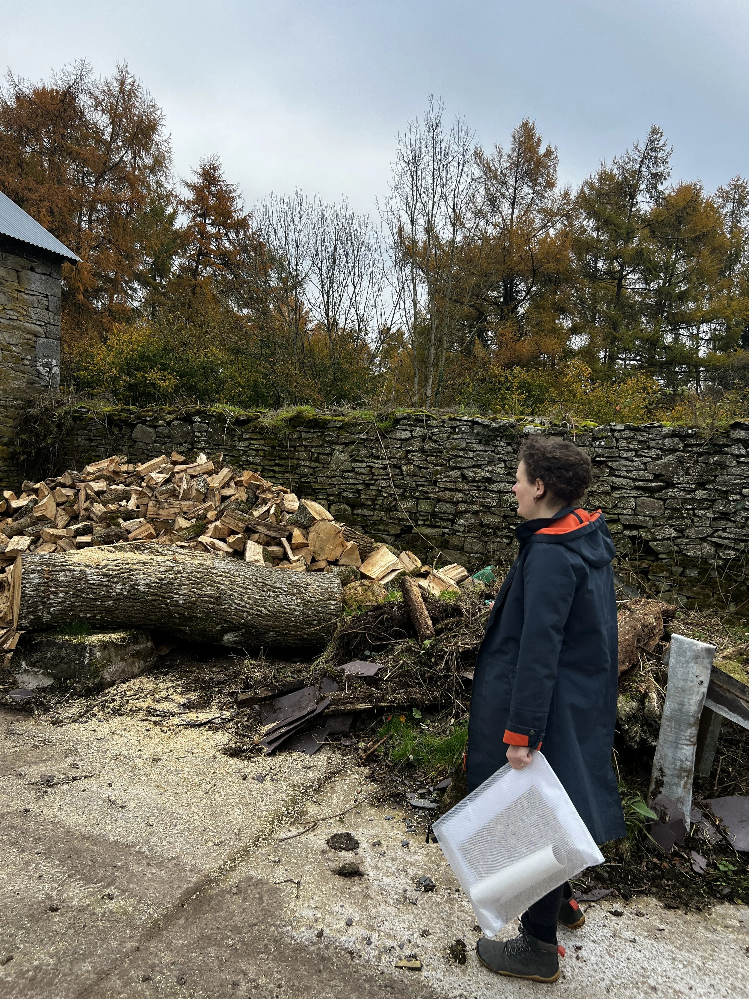 Barn Converstion - Rachel Hayes - Folia Architects.JPG