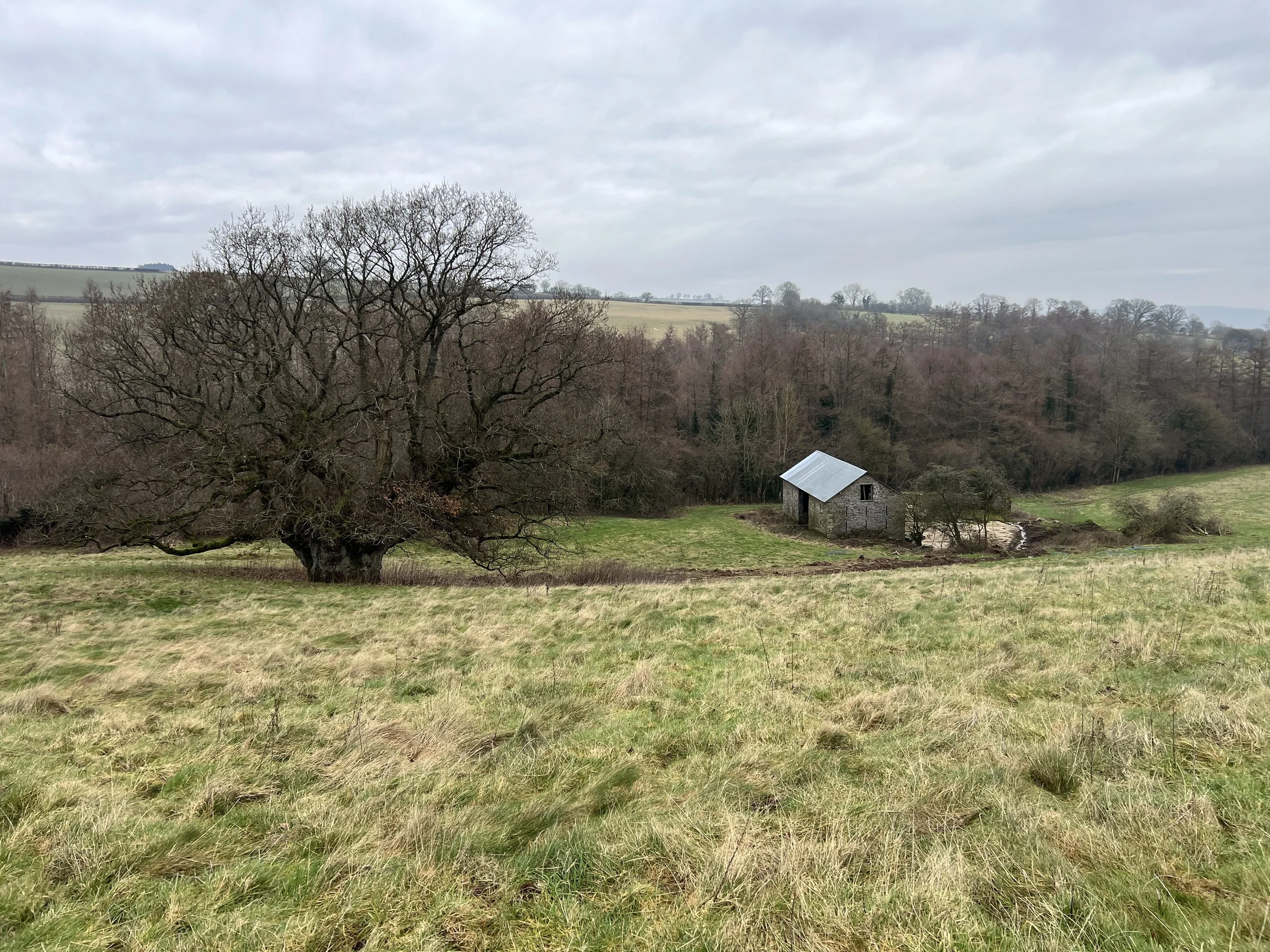 Rural barn conversion.JPG