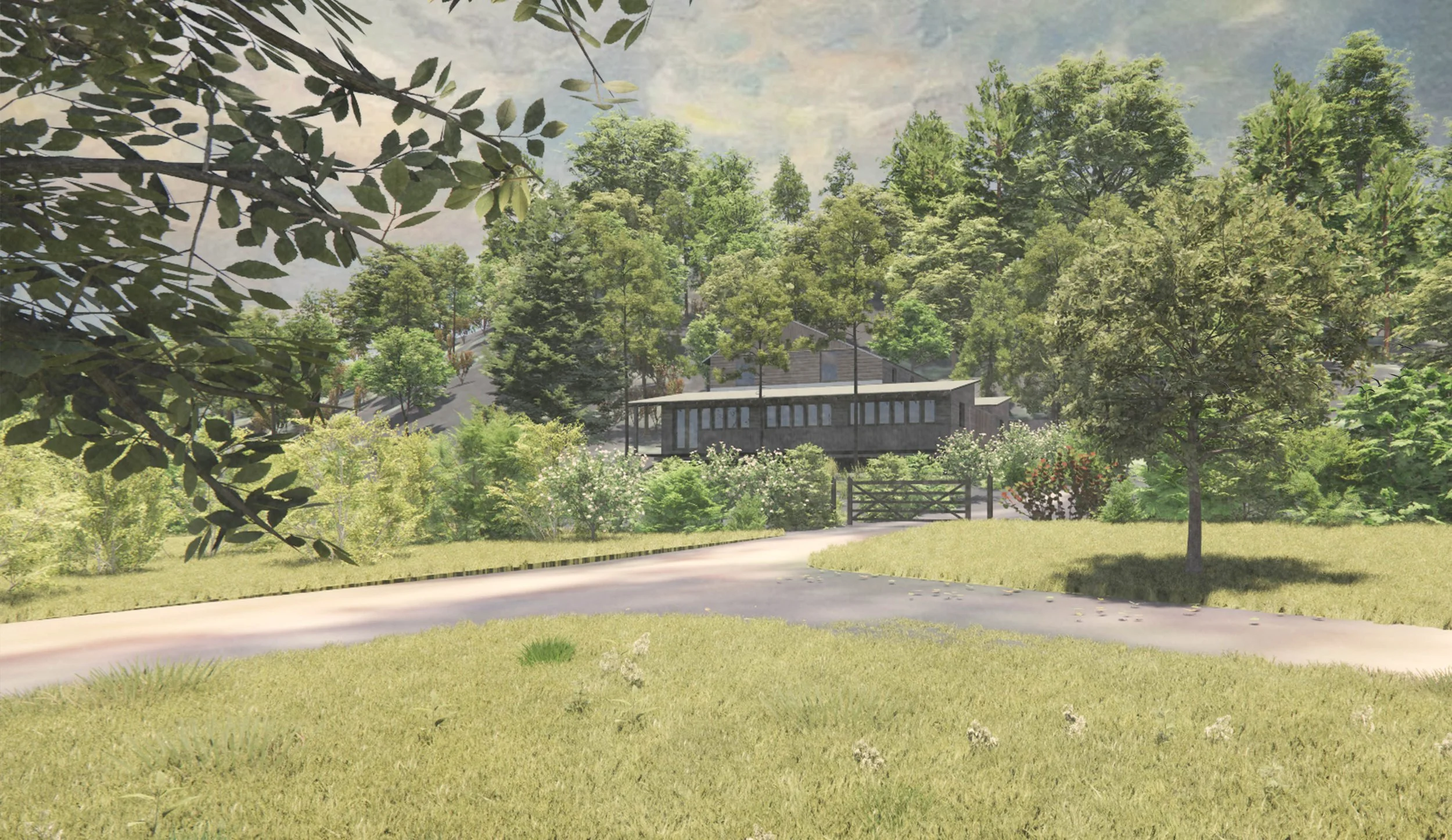 Folia Architects - A Woodland hill passivhaus - A landscaped yard with a winding driveway, green grass, and trees, with a modern house in the background amid a lush, wooded area.