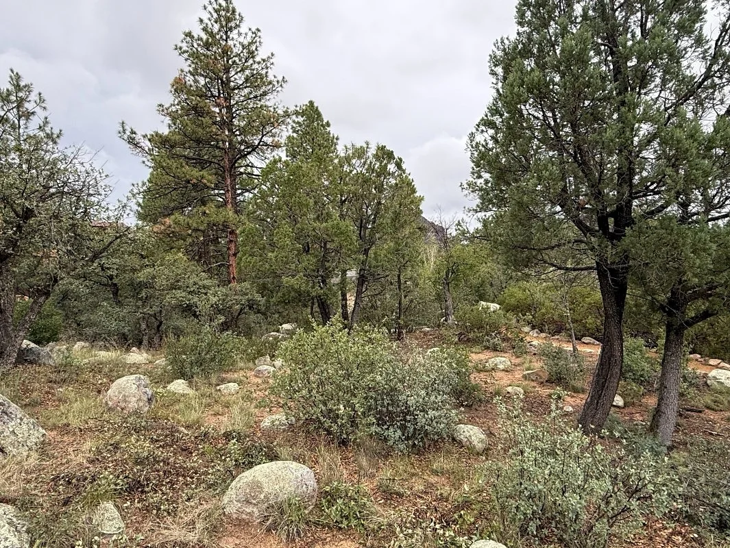 Fire Mitigation After