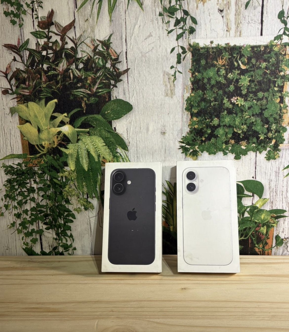 iPhone 16