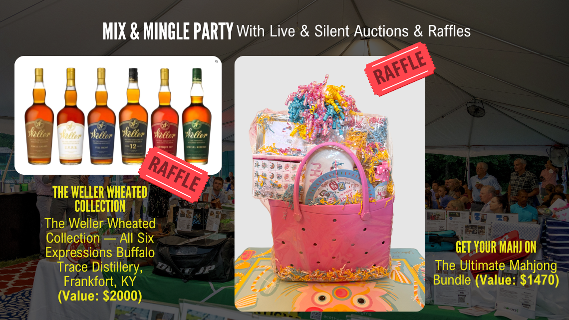 Mix & Mingle Party With Live & Silent Auctions & Raffles