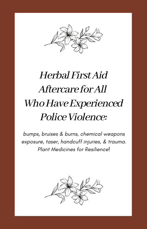 Herbal First Aid Aftercare.png