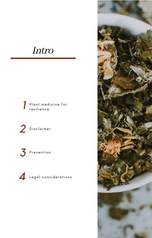 Herbal First Aid Aftercare (1).png