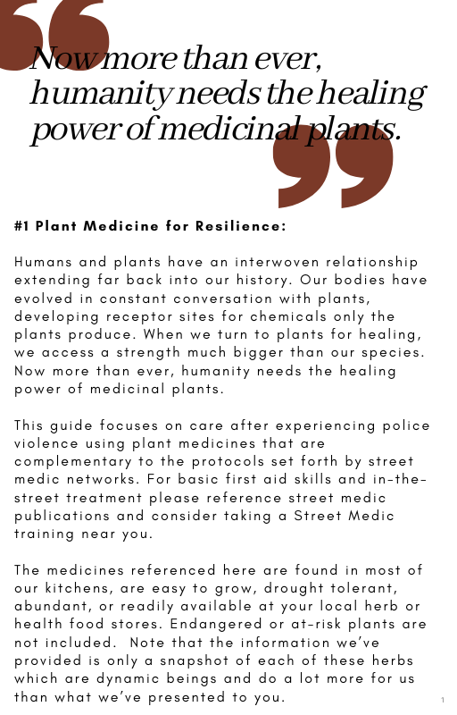 Herbal First Aid Aftercare (2).png