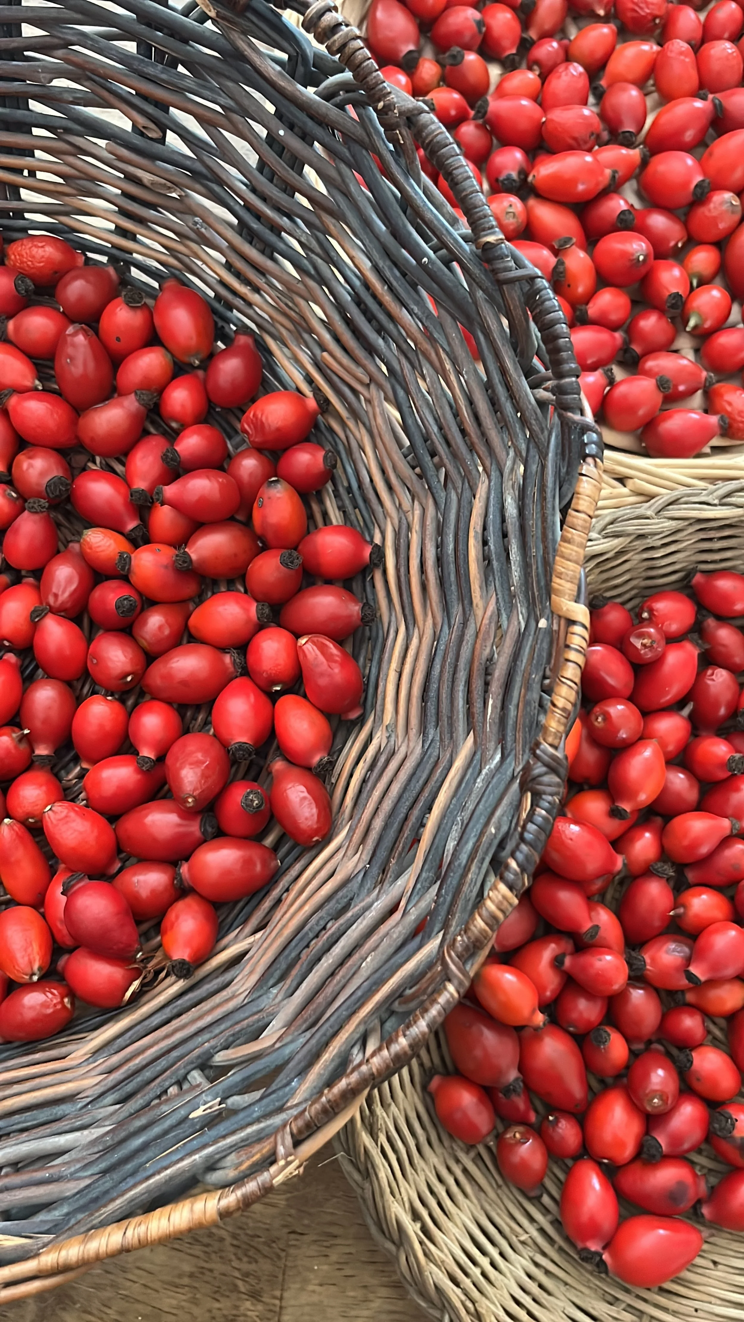 Exploring Herbs Through Taste