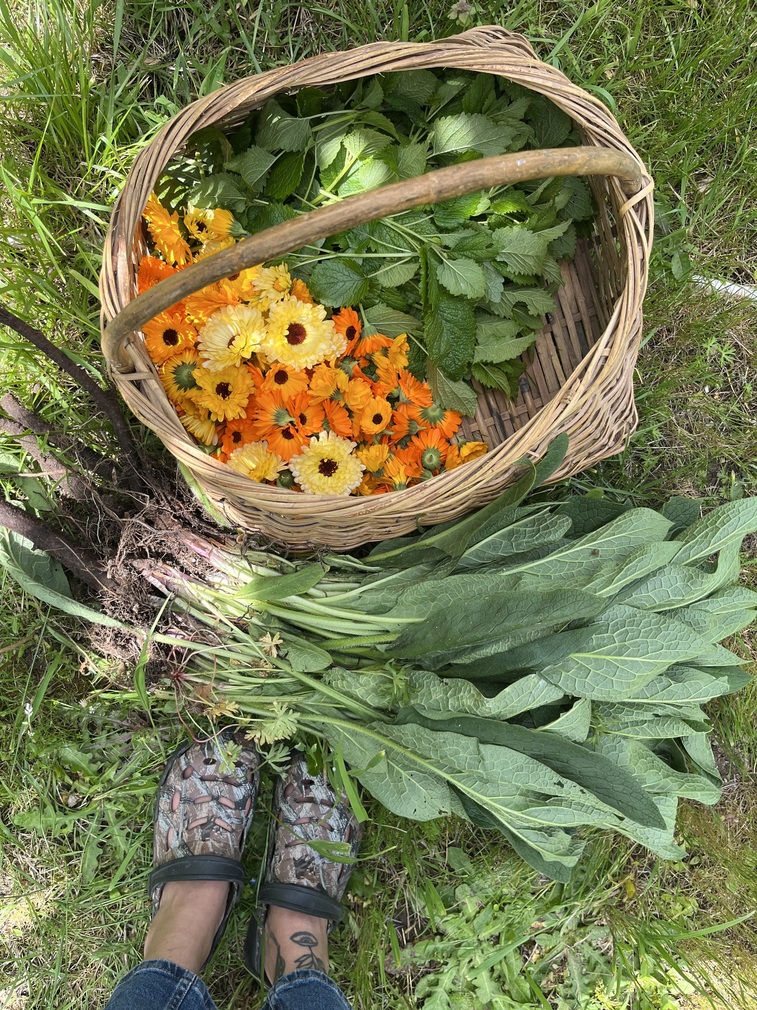 flowers and leaves gathered in a basket in the grass