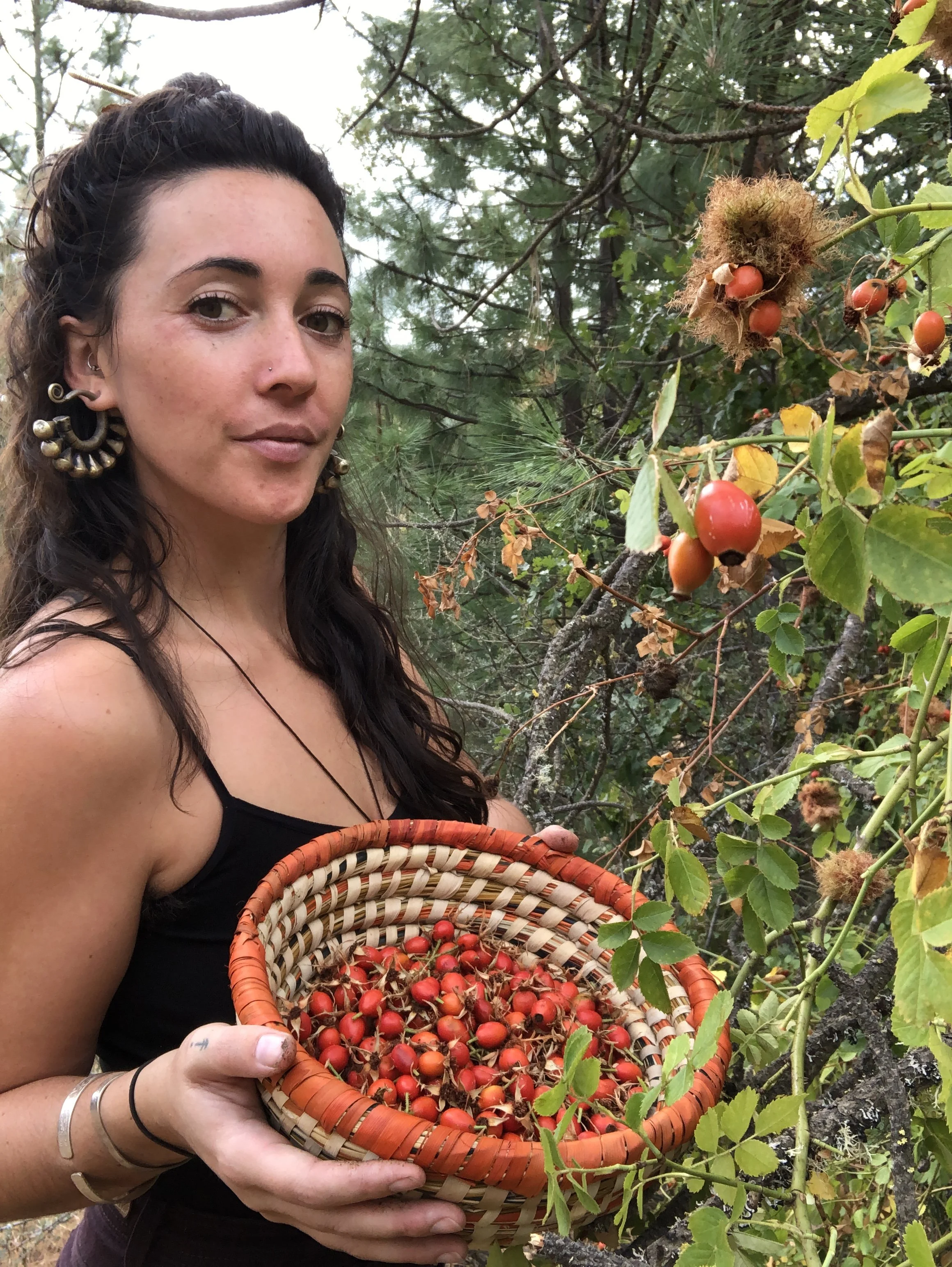 herbalist holding a basket of rosehips