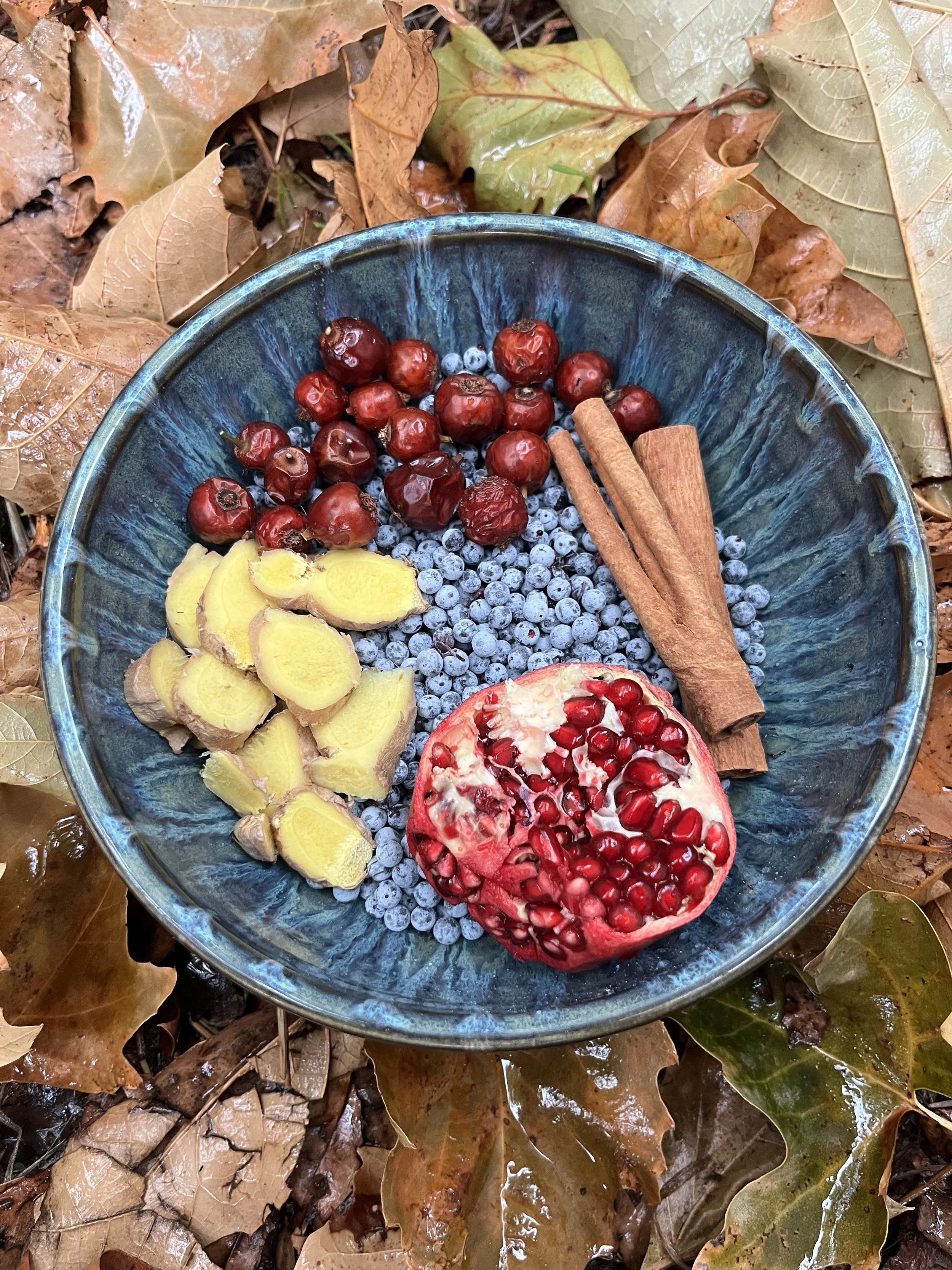 ginger elderberry rosehips cinnamon pomegranate in a bowl on leaves