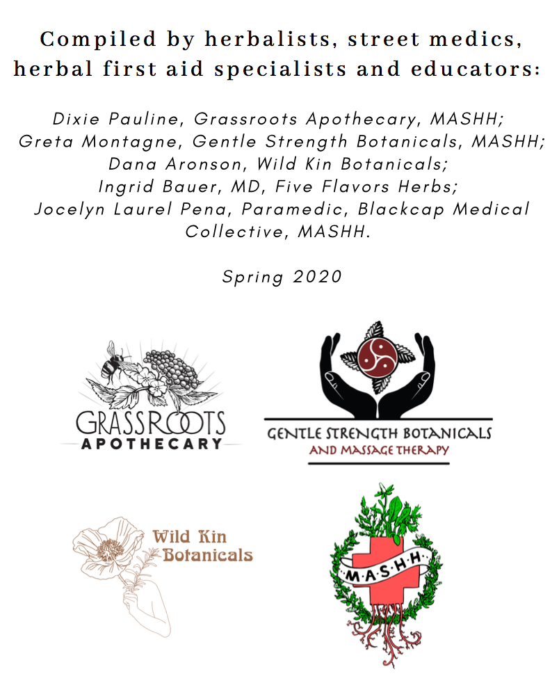 herbalfirstaidbackcover.png