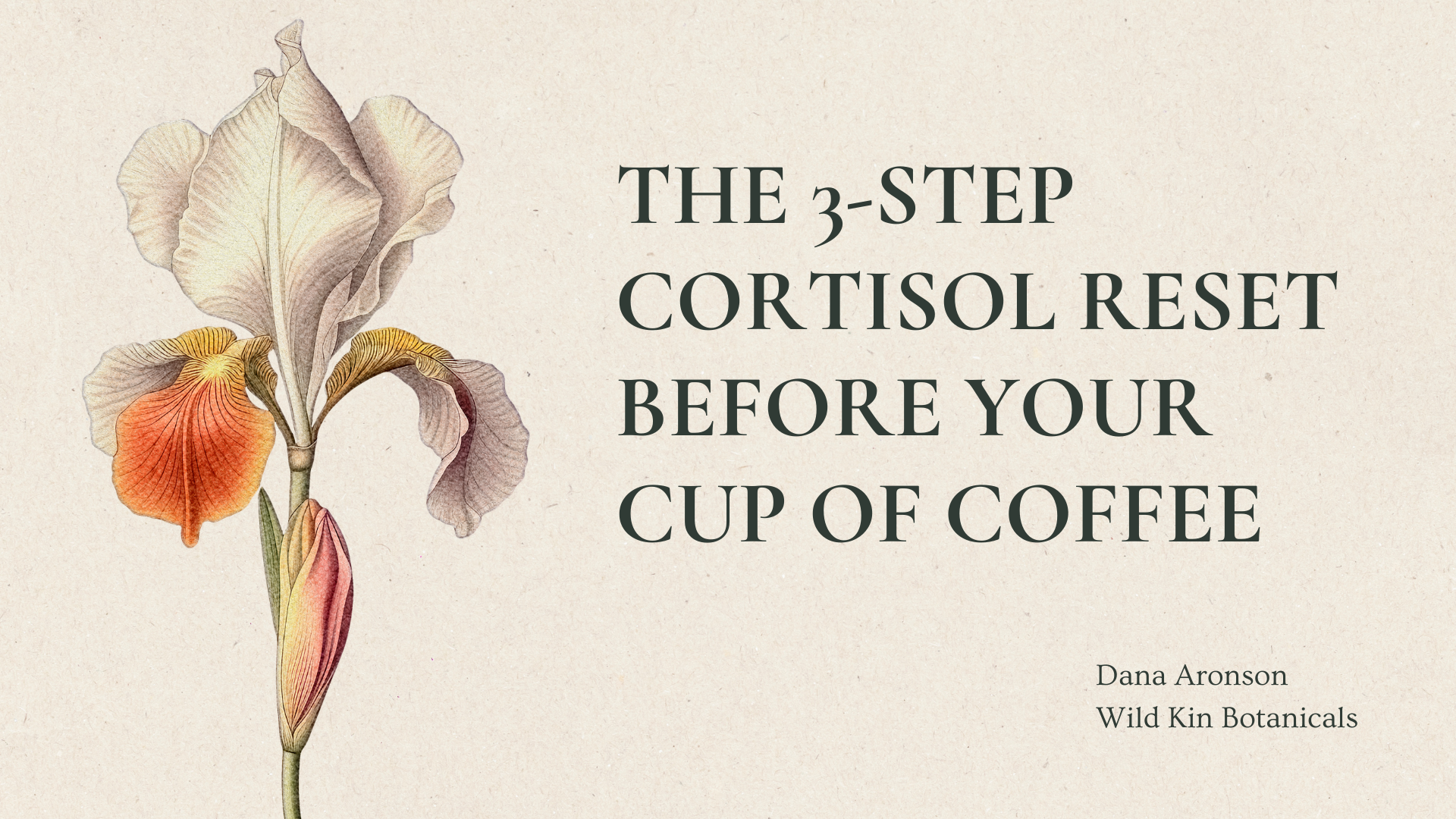 colored iris flower and 3 step cortisol reset before your cup of coffee