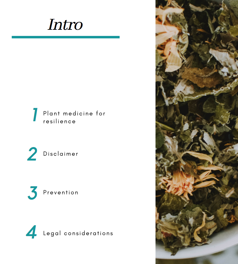herbalfirstaidintro.png