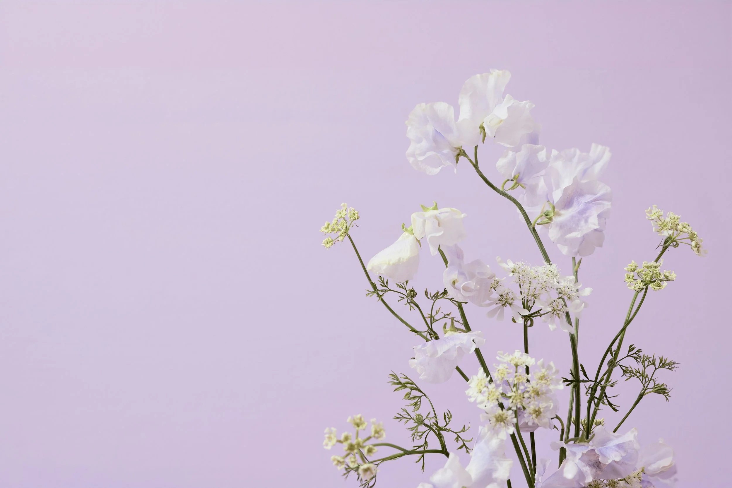 How does the SIPS breathing practice actually work?