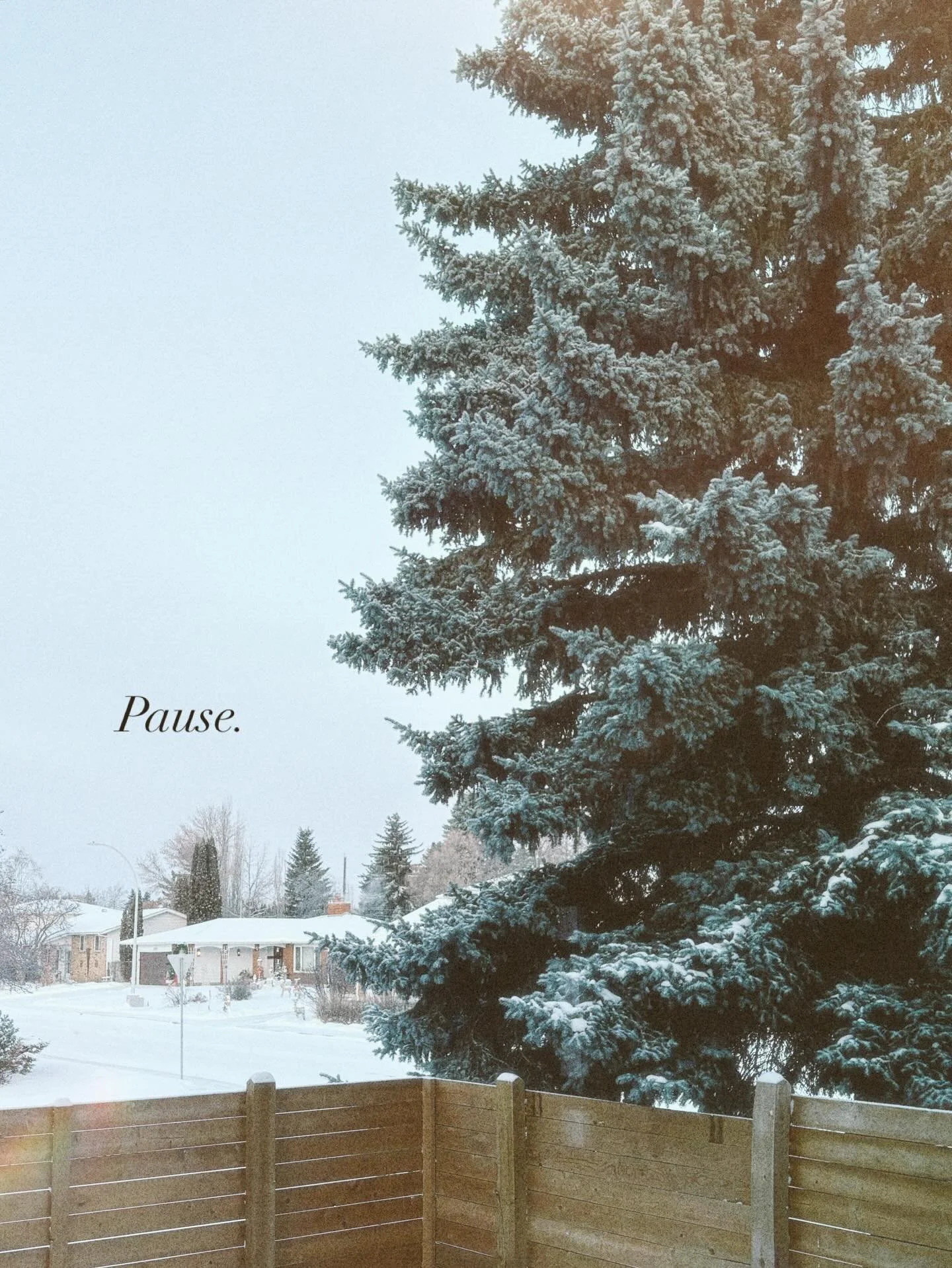 Your reminder. And mine. ✨

December is chaotic. It can be magical but it can be heavy. For anyone and everyone. 

This week alone looked like 7 hours in meetings, a winter concert, a Christmas party, and a brand photoshoot. All layered on top of our