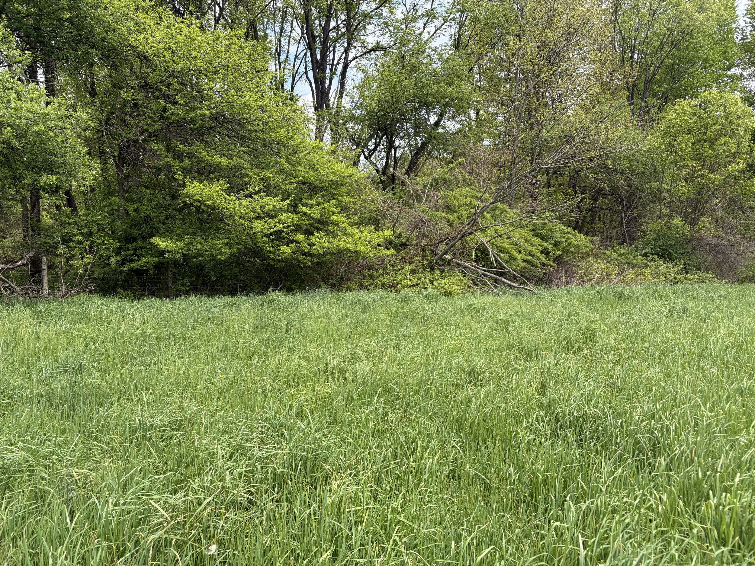 Fencing Repair