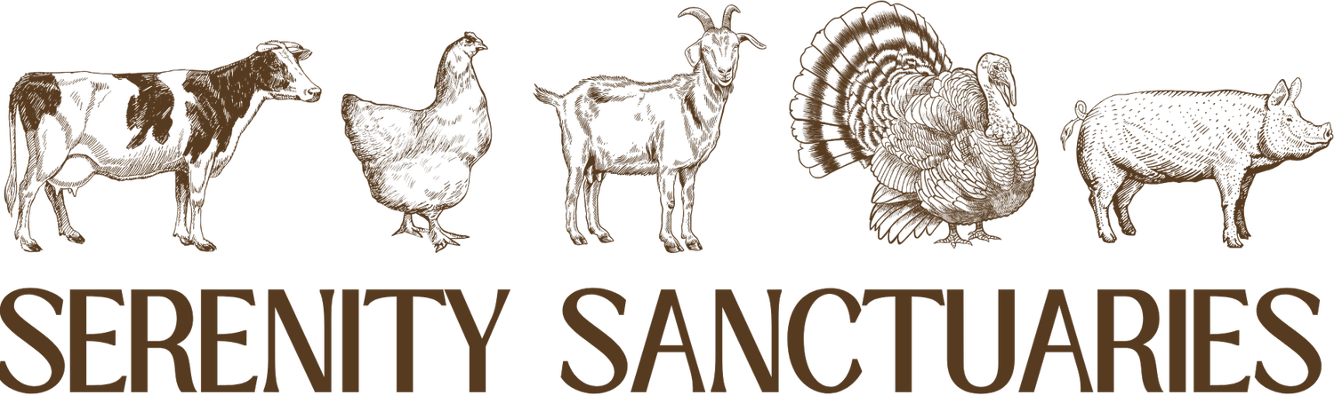Serenity Sanctuaries