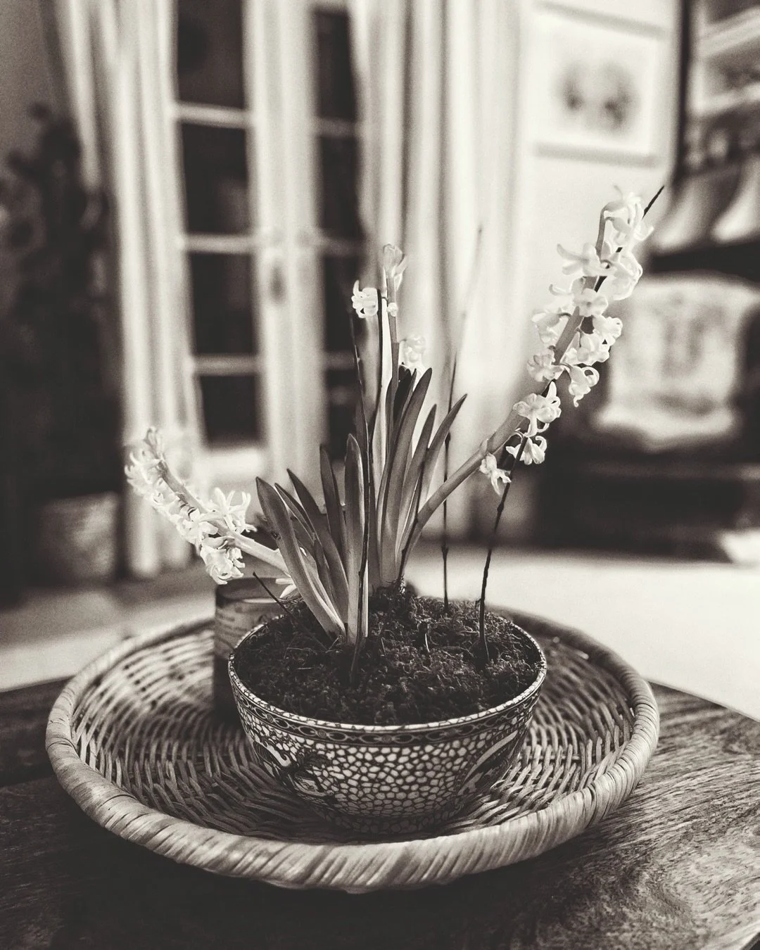 A few from home during the craziness of life lately and enjoying some quiet space to breathe and just be&hellip; hope you&rsquo;re all doing okay out there and welcome to those of you who are new followers. Thank you for joining this journey. 

Happy