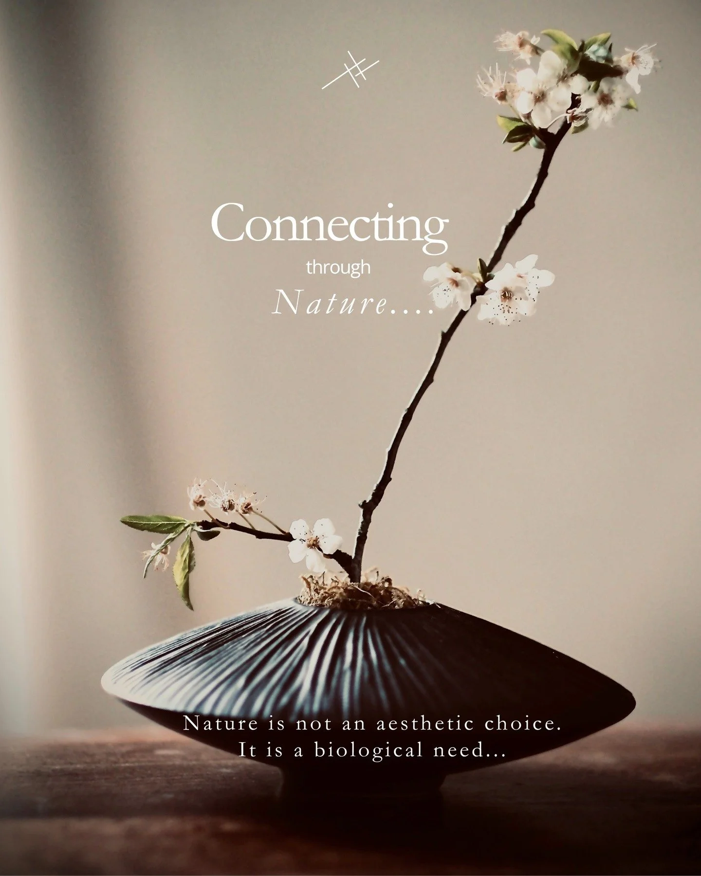 There is something in us that reaches toward living things.

A branch in flower. The way light falls through leaves. The texture of bark, the softness of moss, the particular quiet that comes when nature is present in a room.

We don't choose this re