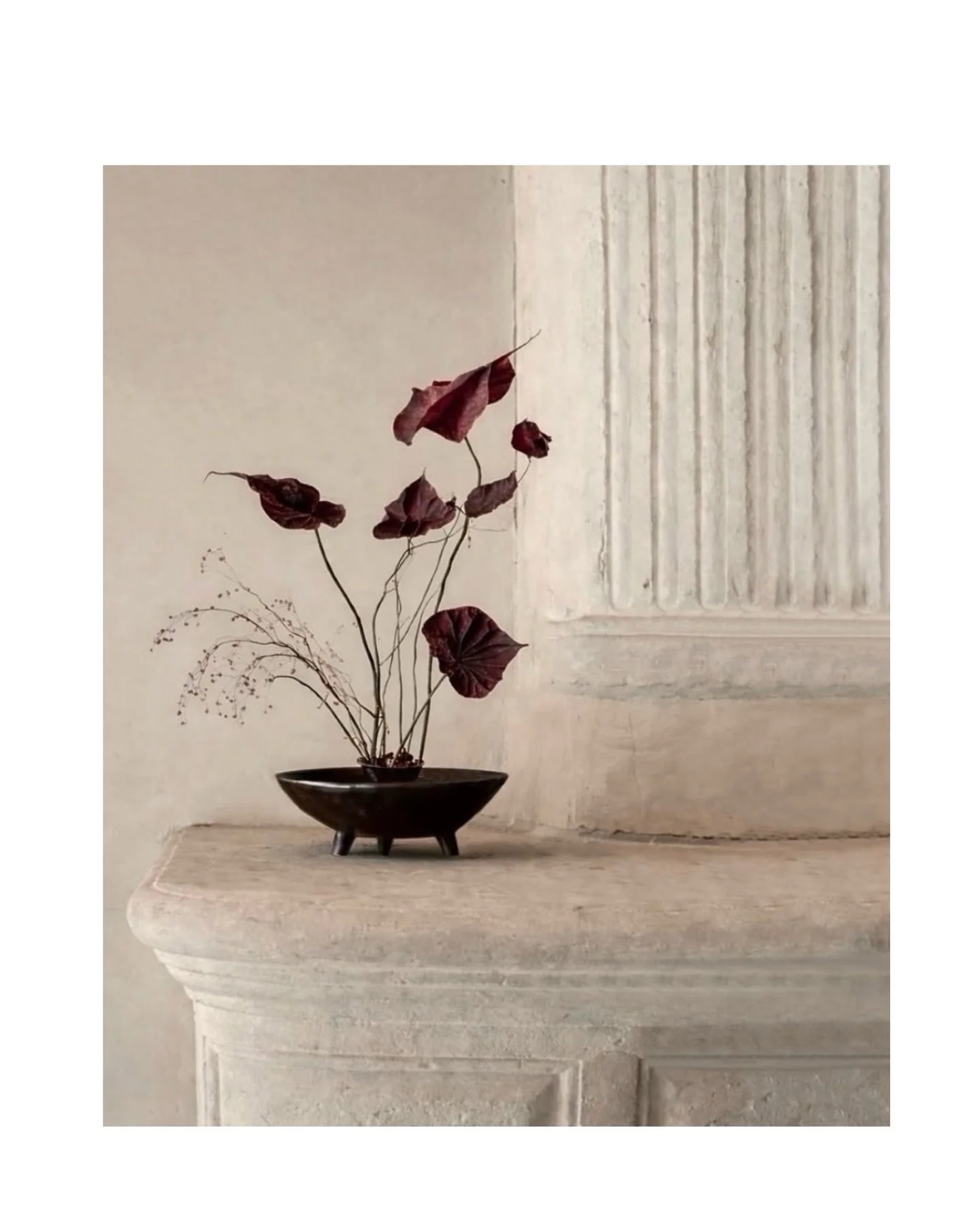 A few days of quietly collecting images that have touched me in some way. Soft tones and textures. There&rsquo;s something about gathering things slowly that lets you see what you&rsquo;re actually drawn to. 

Thank you for sharing your beautiful ima