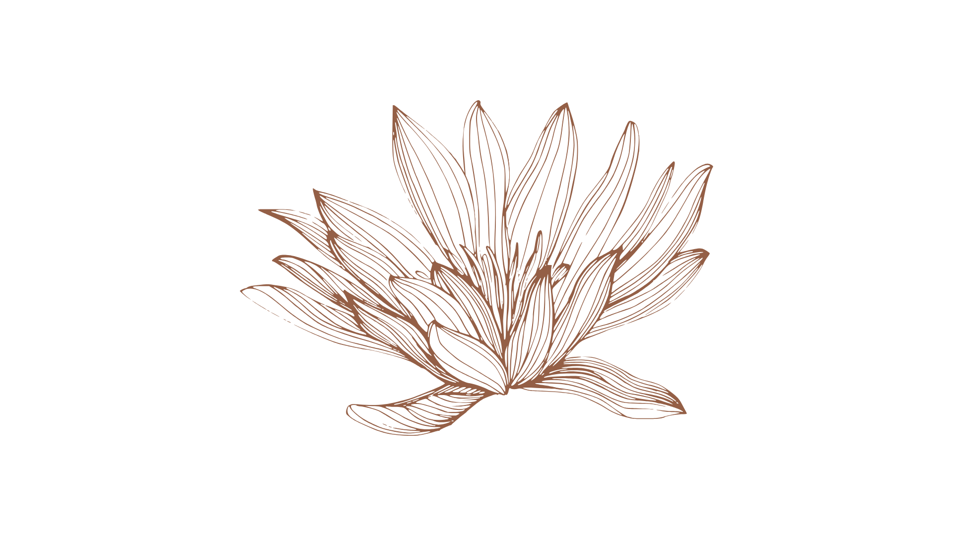A line drawing of a lotus flower with multiple petals in a copper tone on a black background.