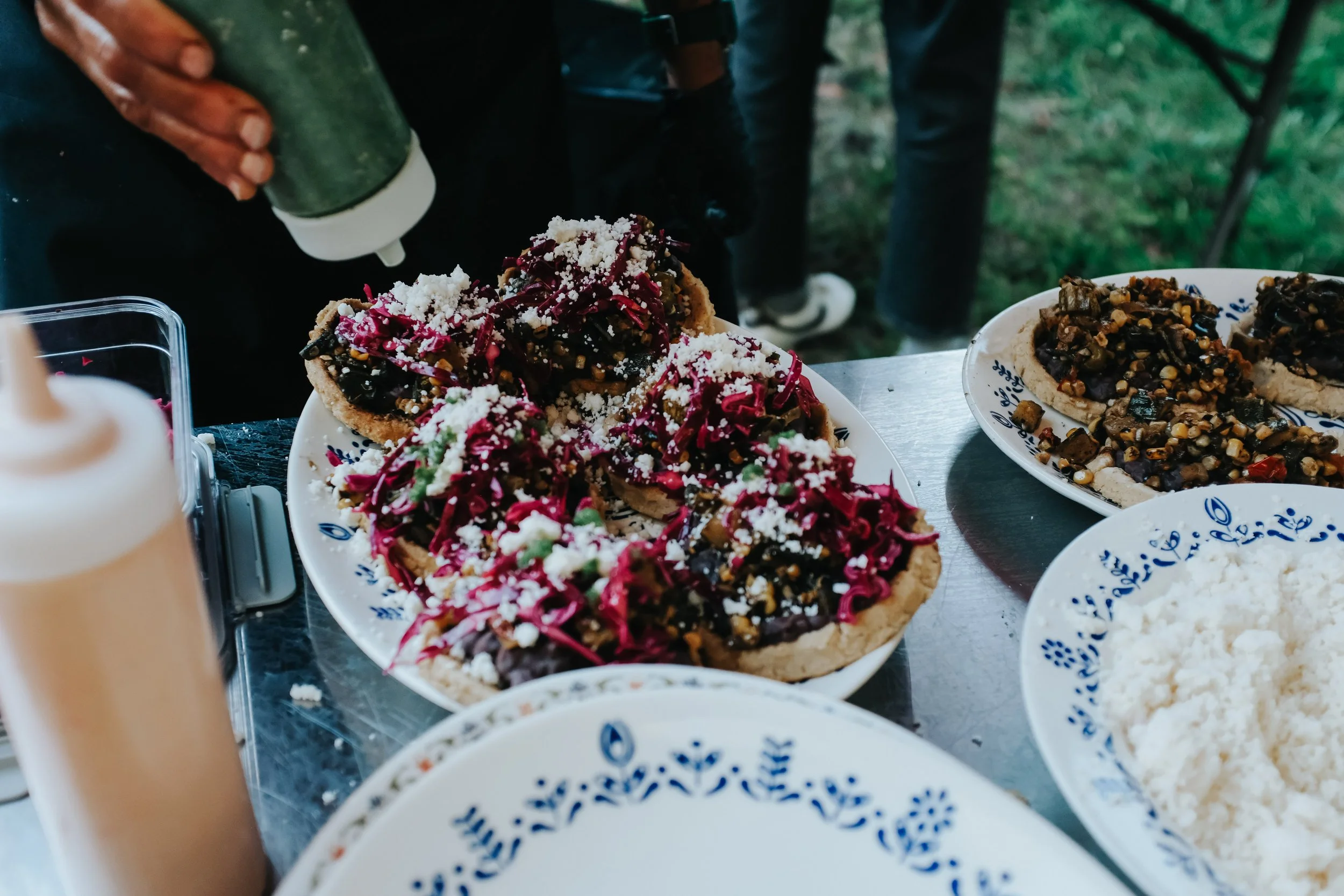 KLT-fff-goose-2-98 (2).jpg