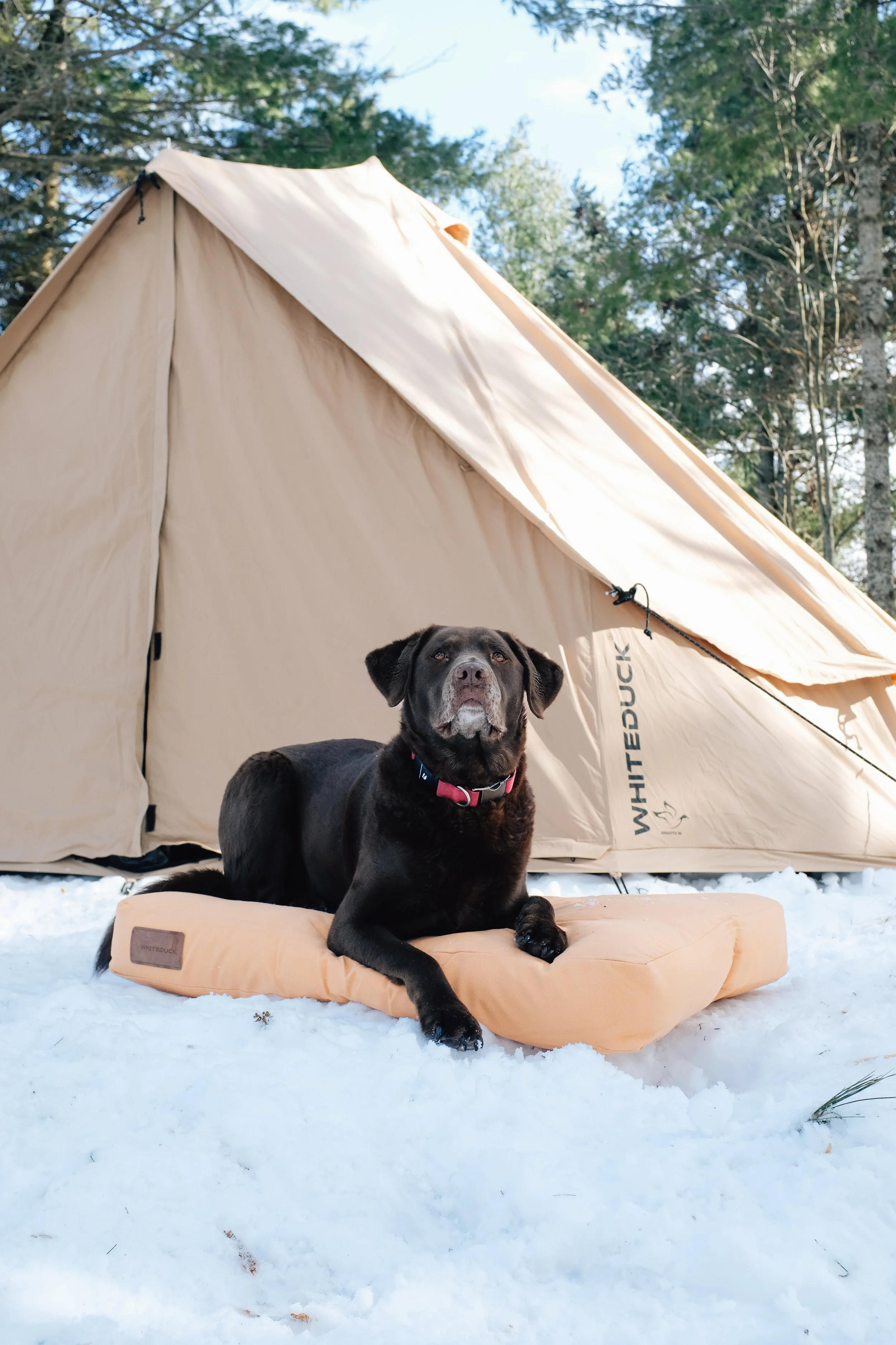 white-duck-winter-dog-beds-2026-Goose-Collective-30.jpg
