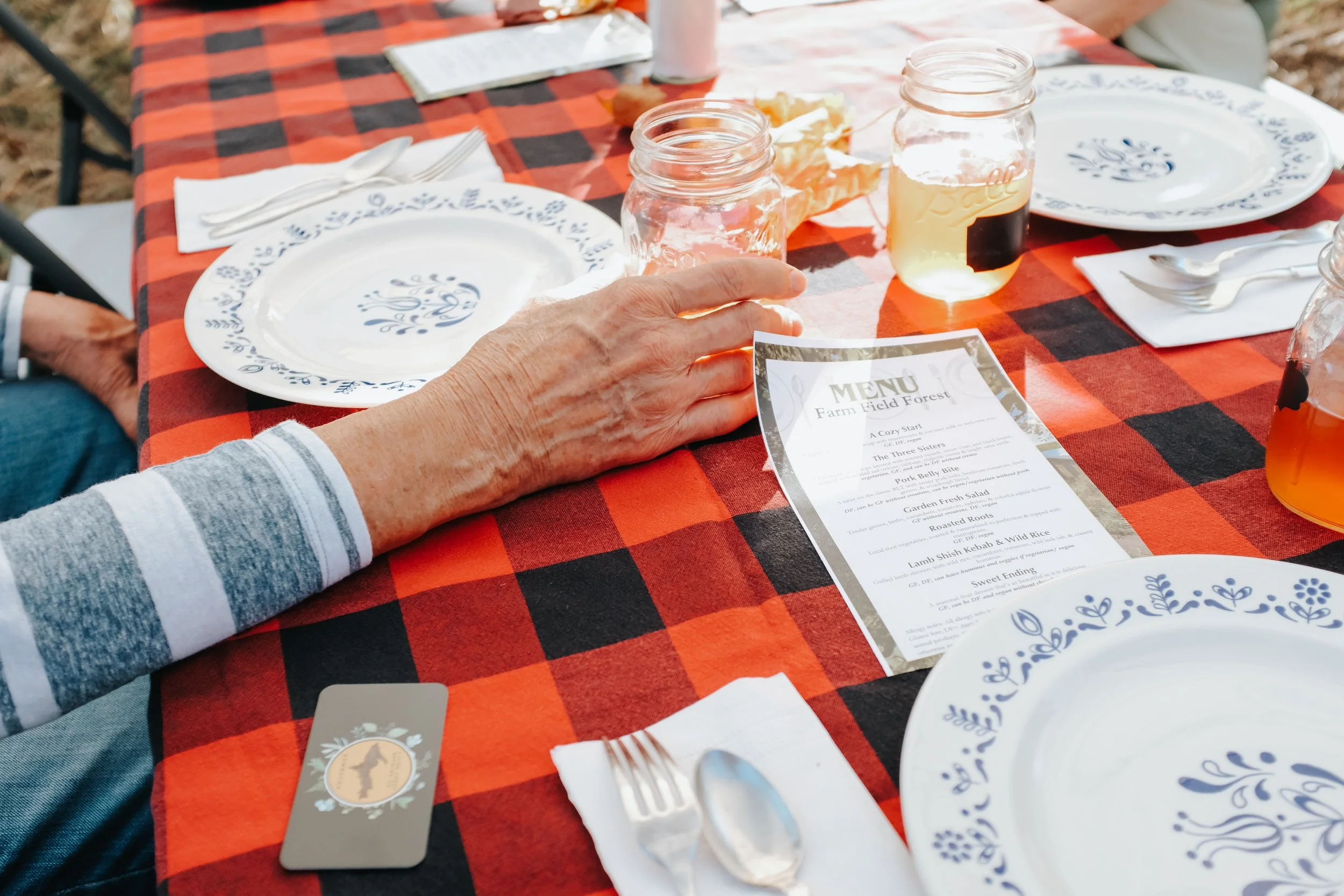 KLT-fff-goose-2-69 (1).jpg