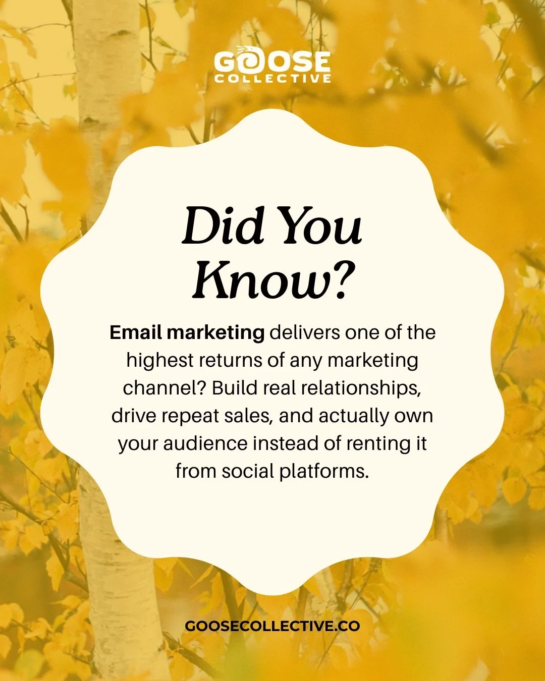 Your inbox called, it wants it&rsquo;s 3,600% ROI. 📧🔥

Email marketing delivers an average return of $36 for every $1 spent and is 40x more effective at acquiring customers than Facebook or Twitter.

Let us set it up for you.

E-commerce &bull; Hos