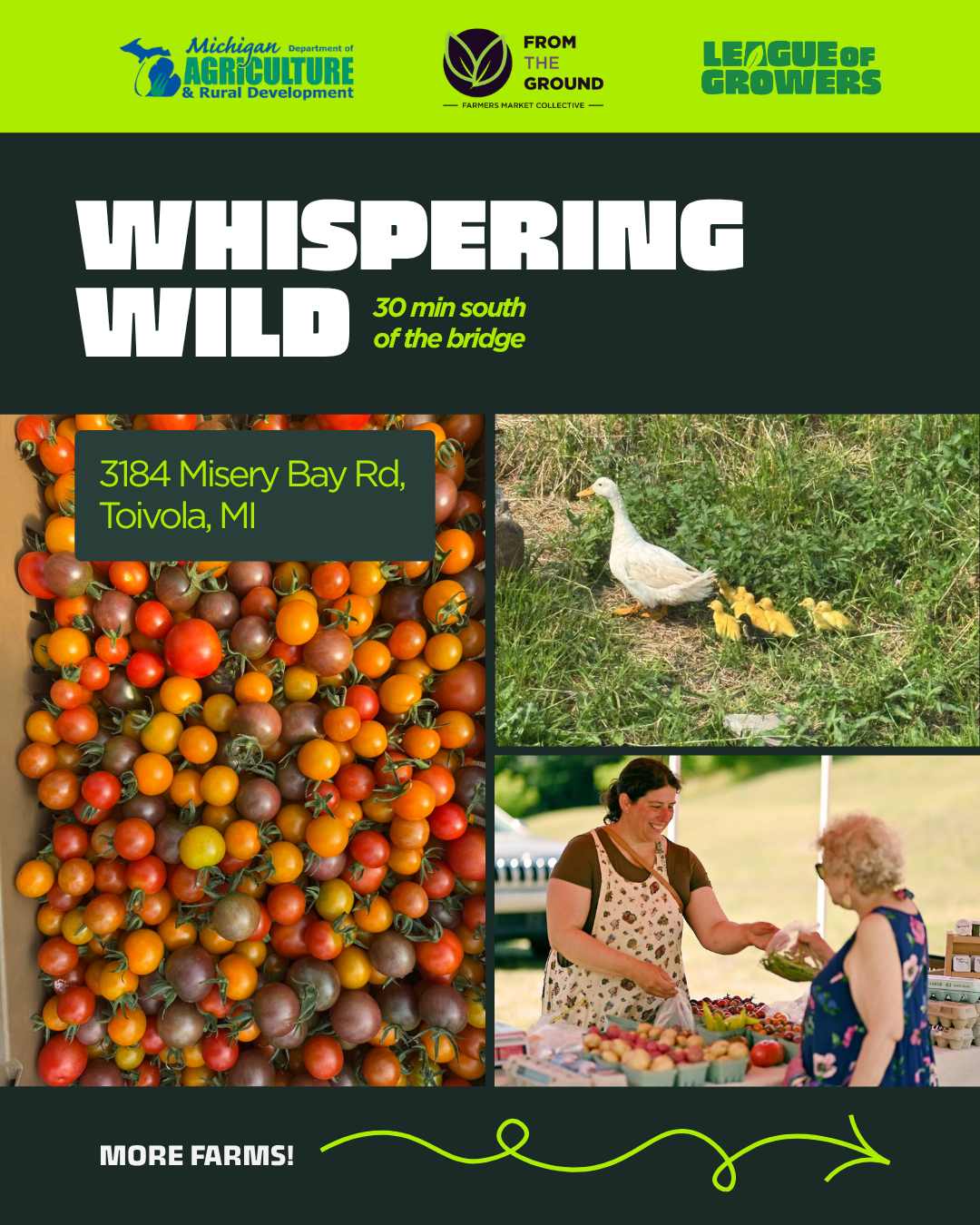 1 Whispering Wild.png