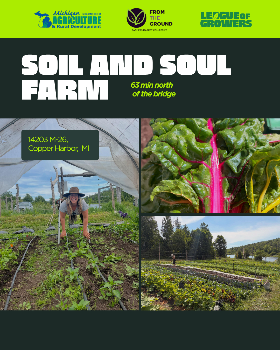 7 Soil and Soul.png