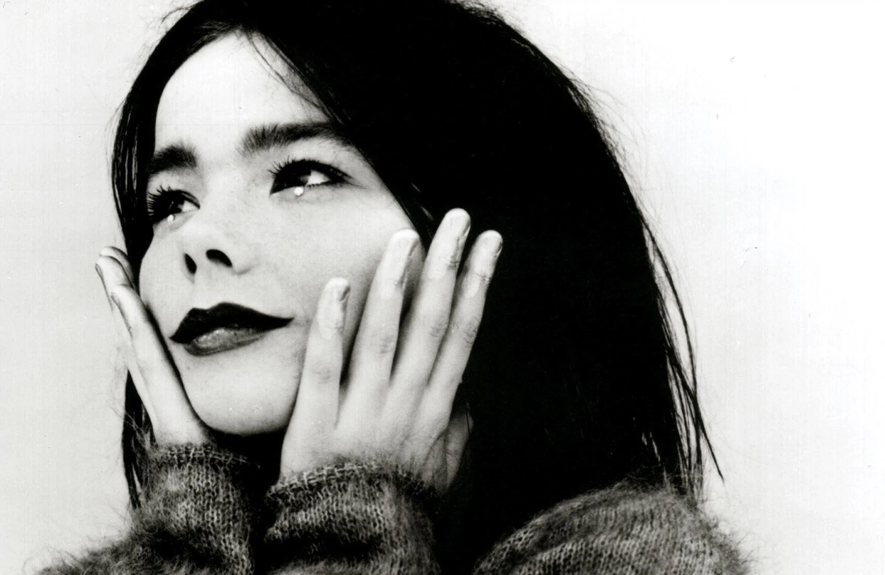bjork-Iceland-photo.jpg