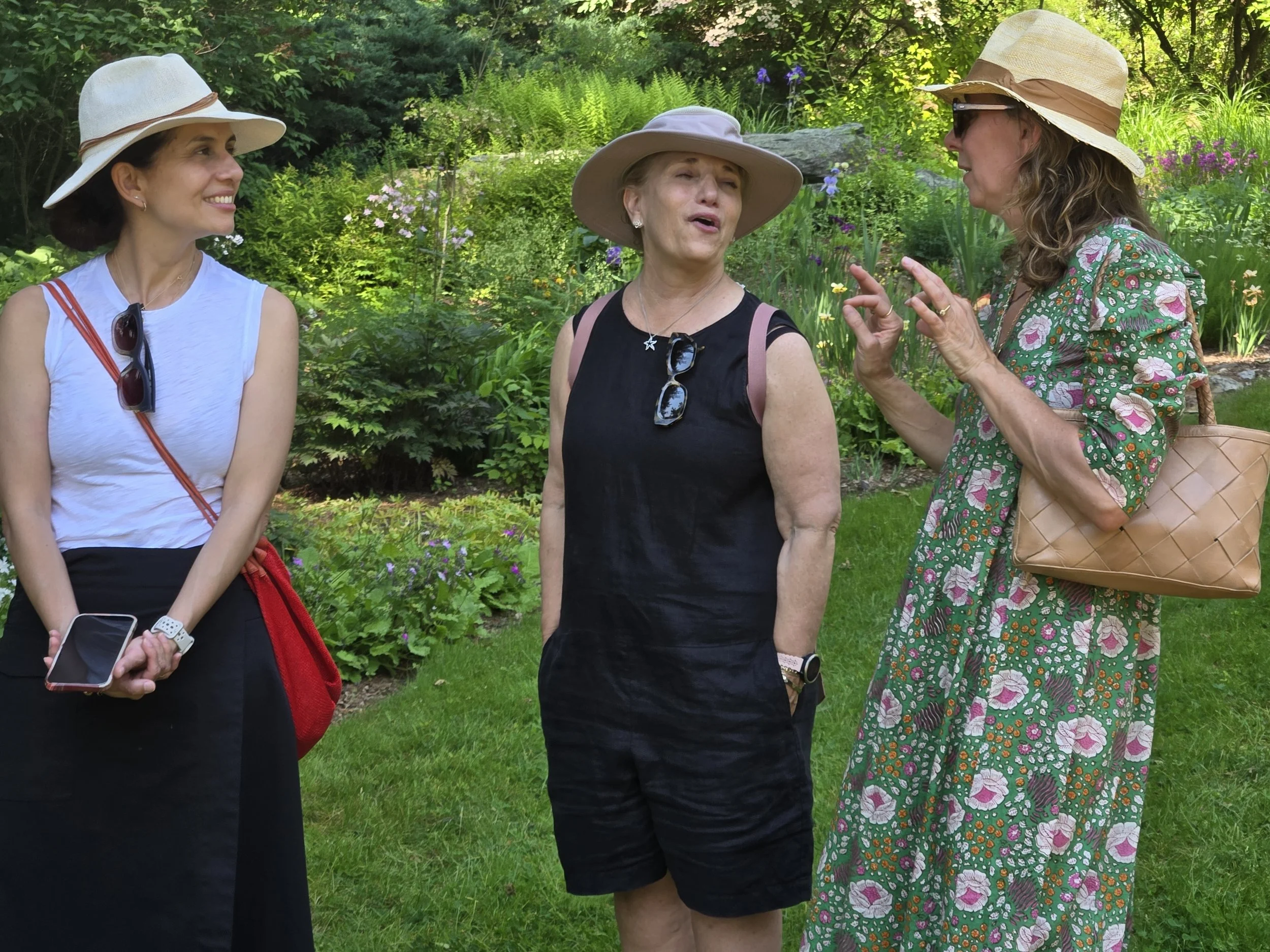 Joe Pye Weed Garden_2_June25.jpeg