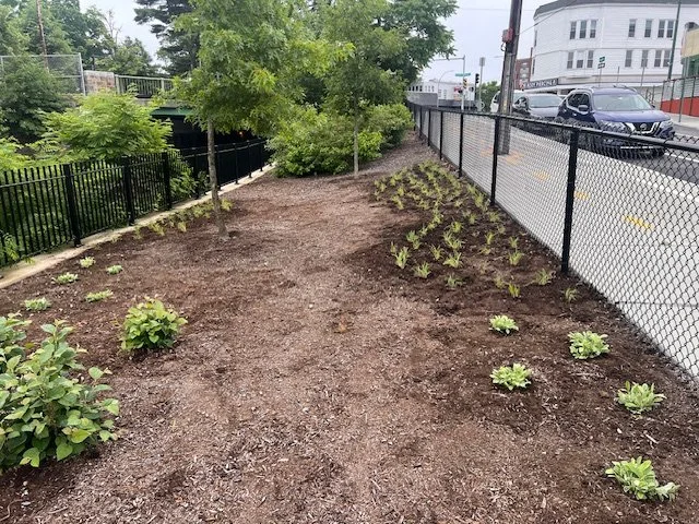 Watertown Cambridge Greenway_2.jpeg