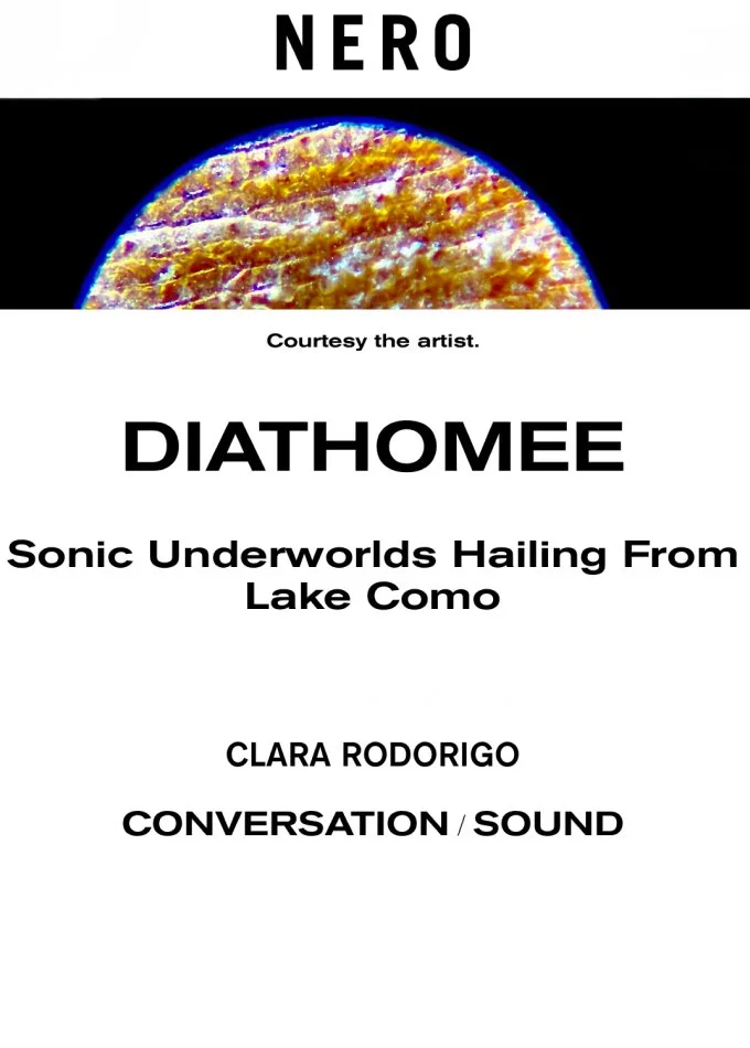diat1.jpg