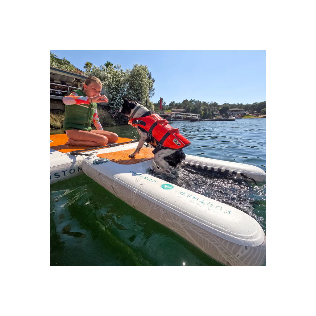 Dog Ramp & Dock (2).png