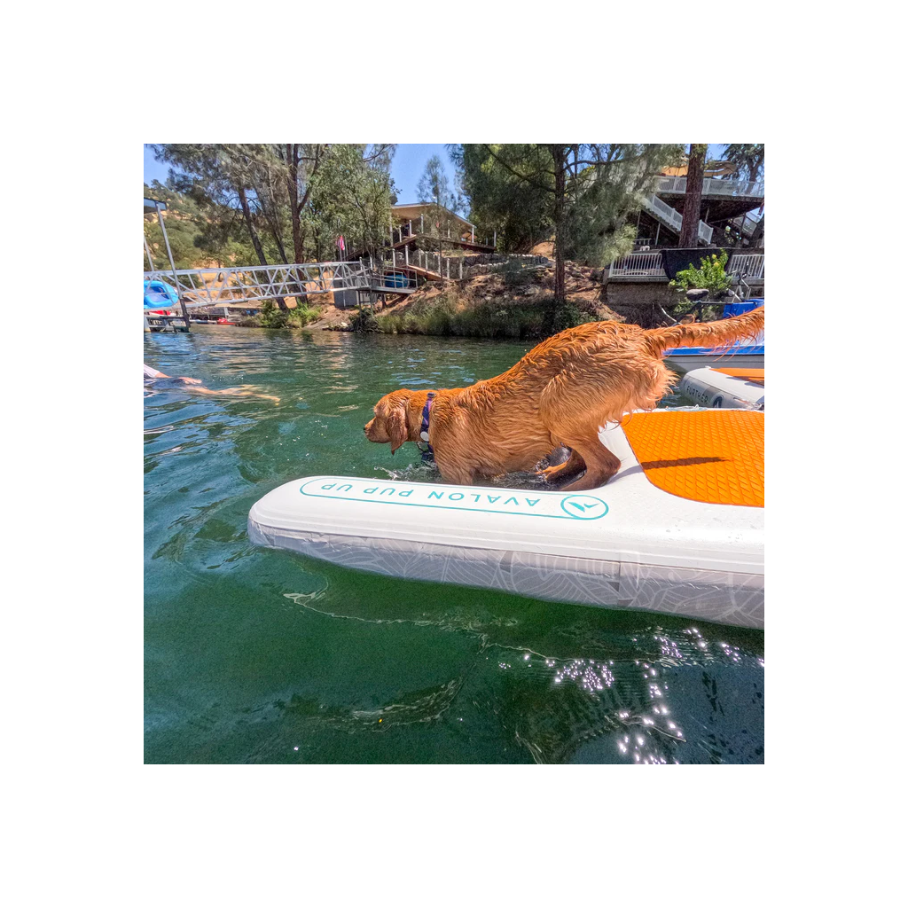 Dog Ramp & Dock (1).png