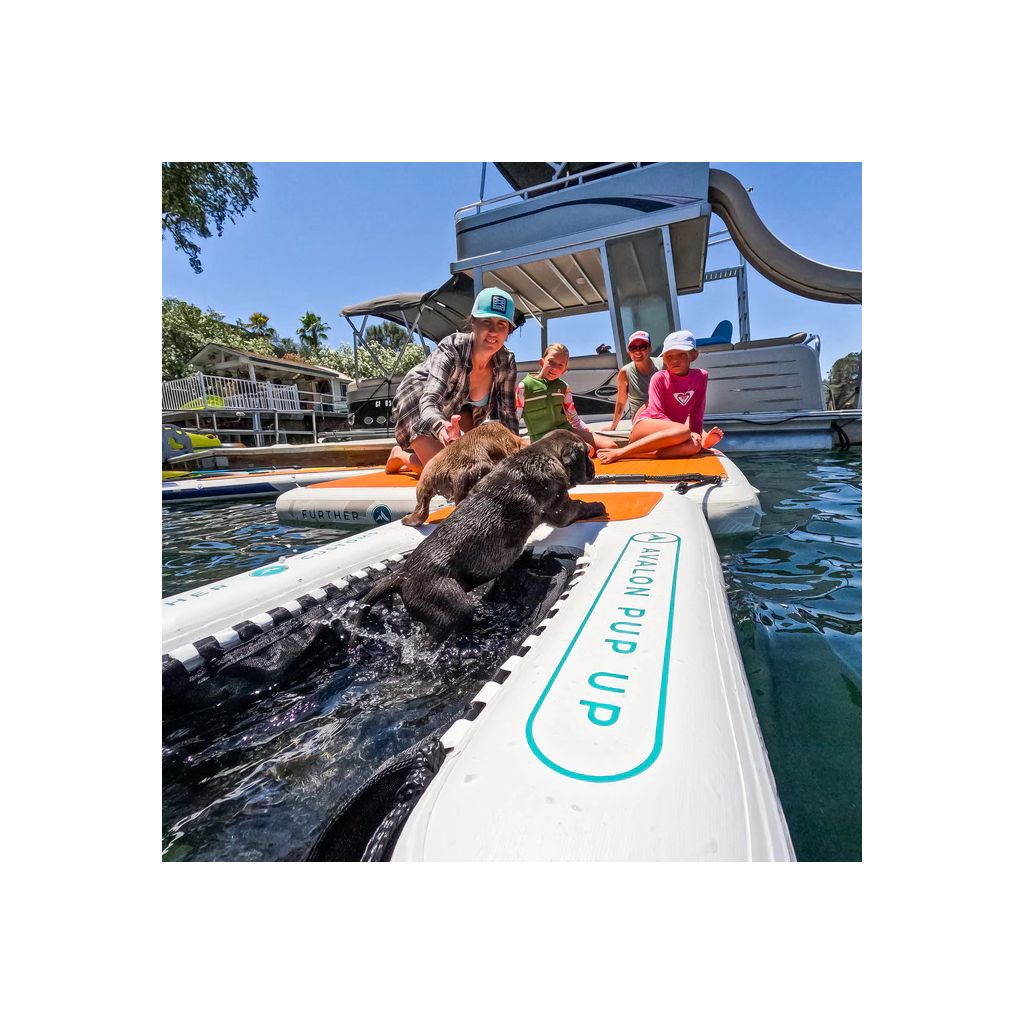 Dog Ramp & Dock (4).png