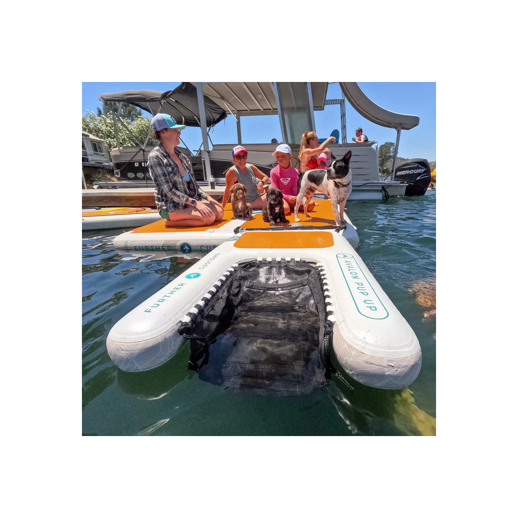 Dog Ramp & Dock (3).png