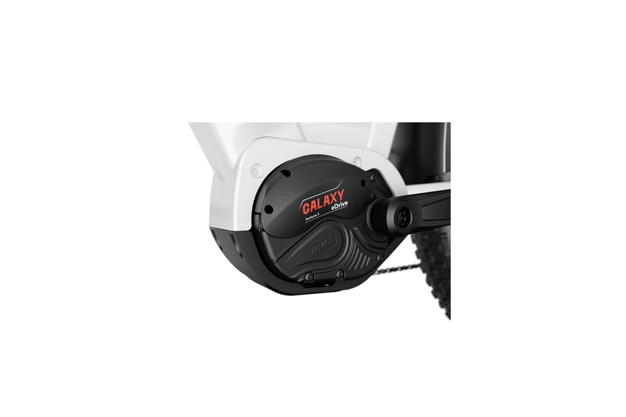 ALPHA (7).png