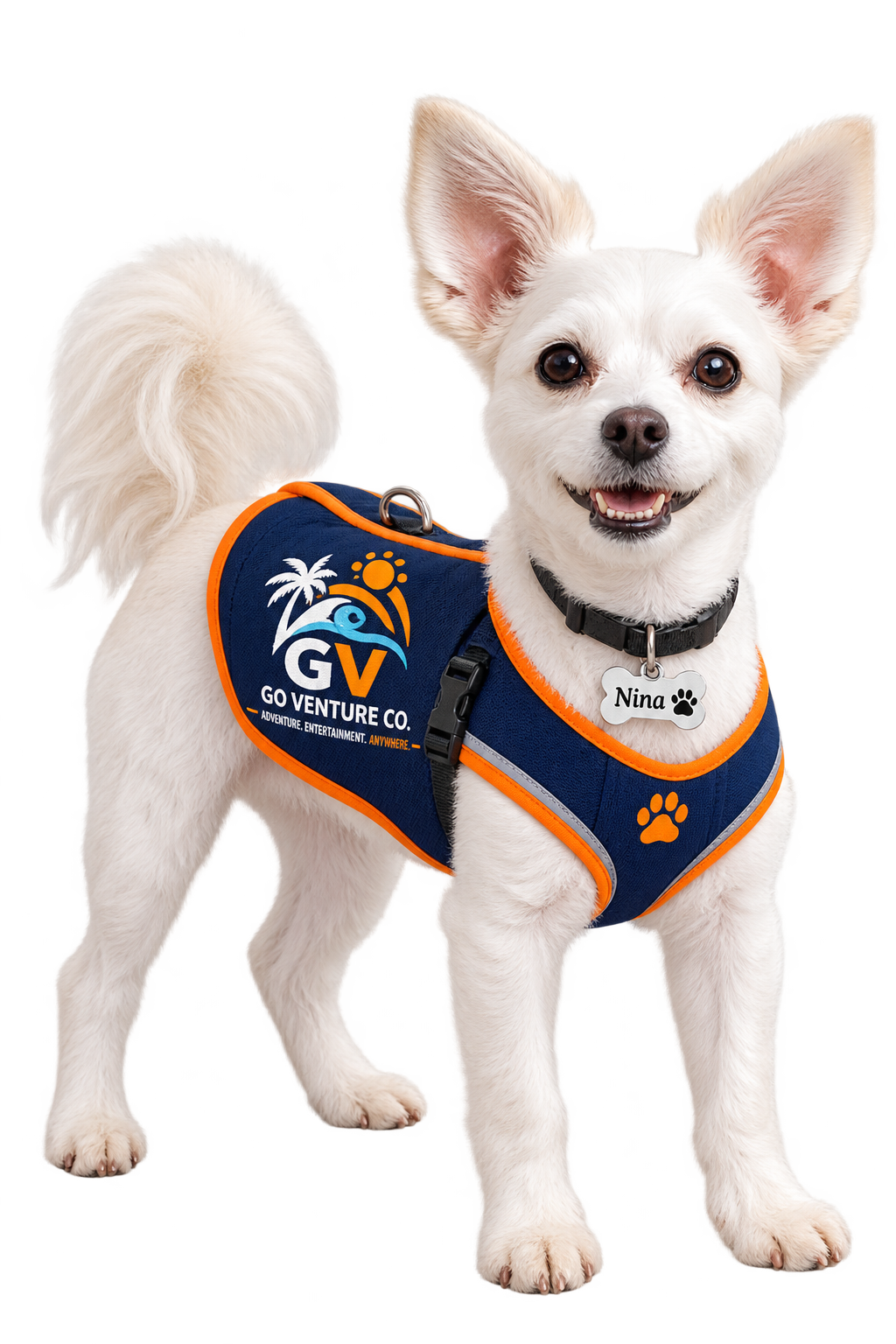A happy white dog wearing a blue and orange vest with the logo 'Go Venture Co.' and a name tag that reads 'Nina'.