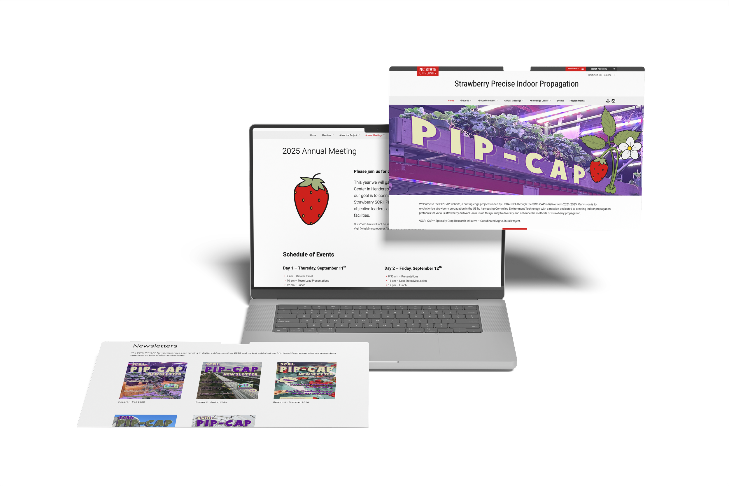 A laptop and printed newsletters are displayed on a white desk against a black background. The laptop screen shows a website titled 'Strawberry Precise Indoor Propagation' with a photo of strawberry plants and a colorful sign with the word 'PIP-CAP' 