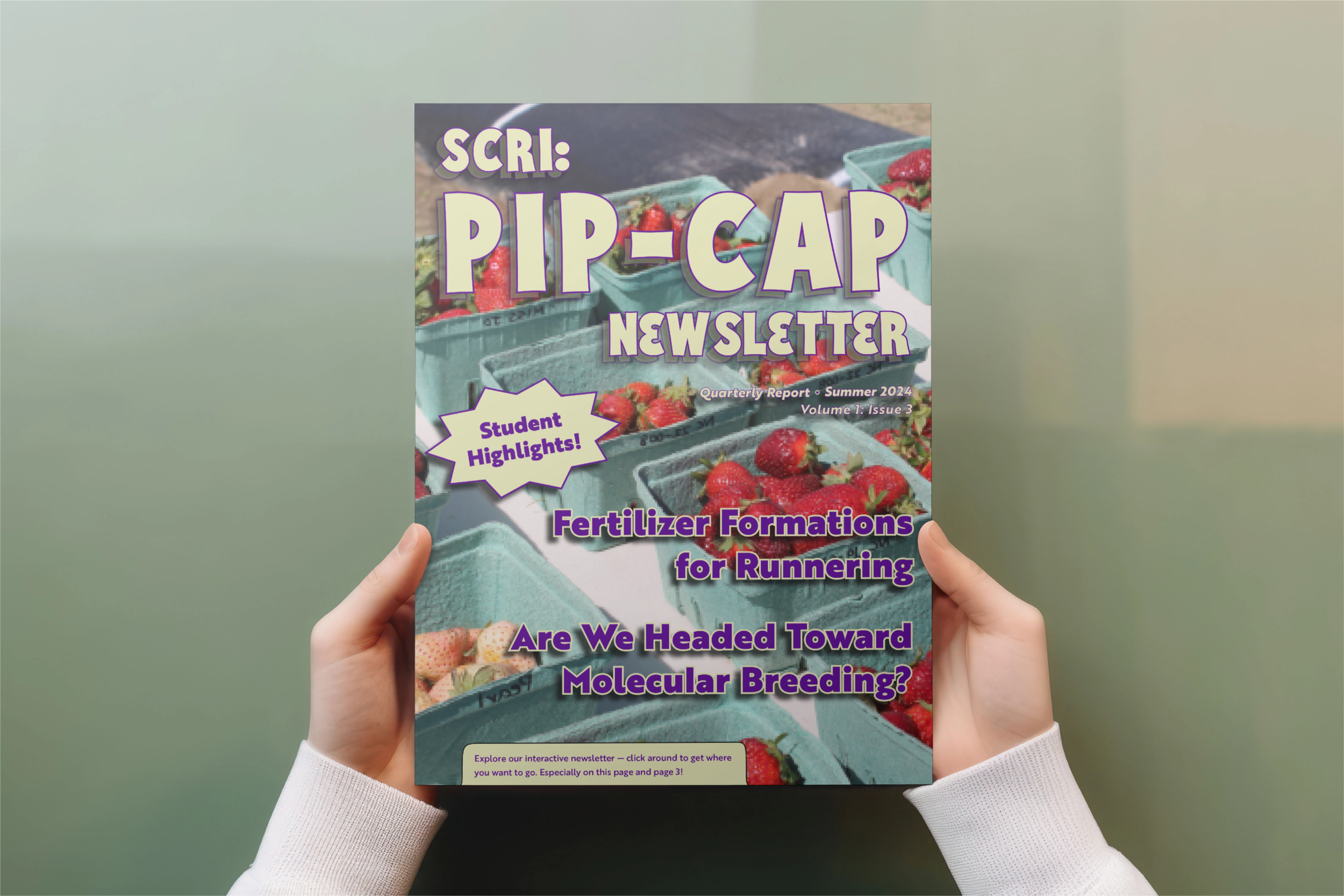 PIP- vol 1 no 3 newsletter.png