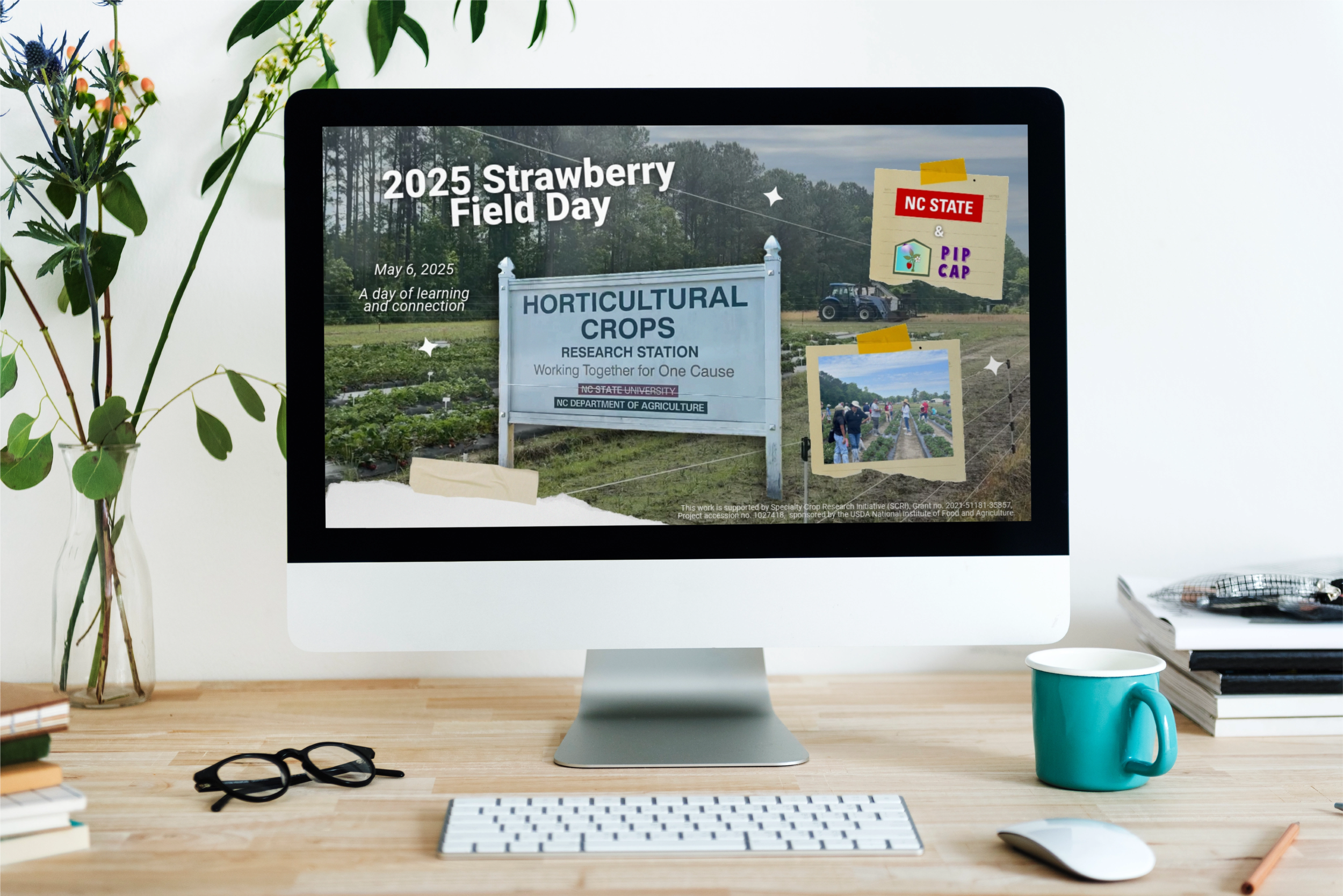 pip - youtube thumbnail.png