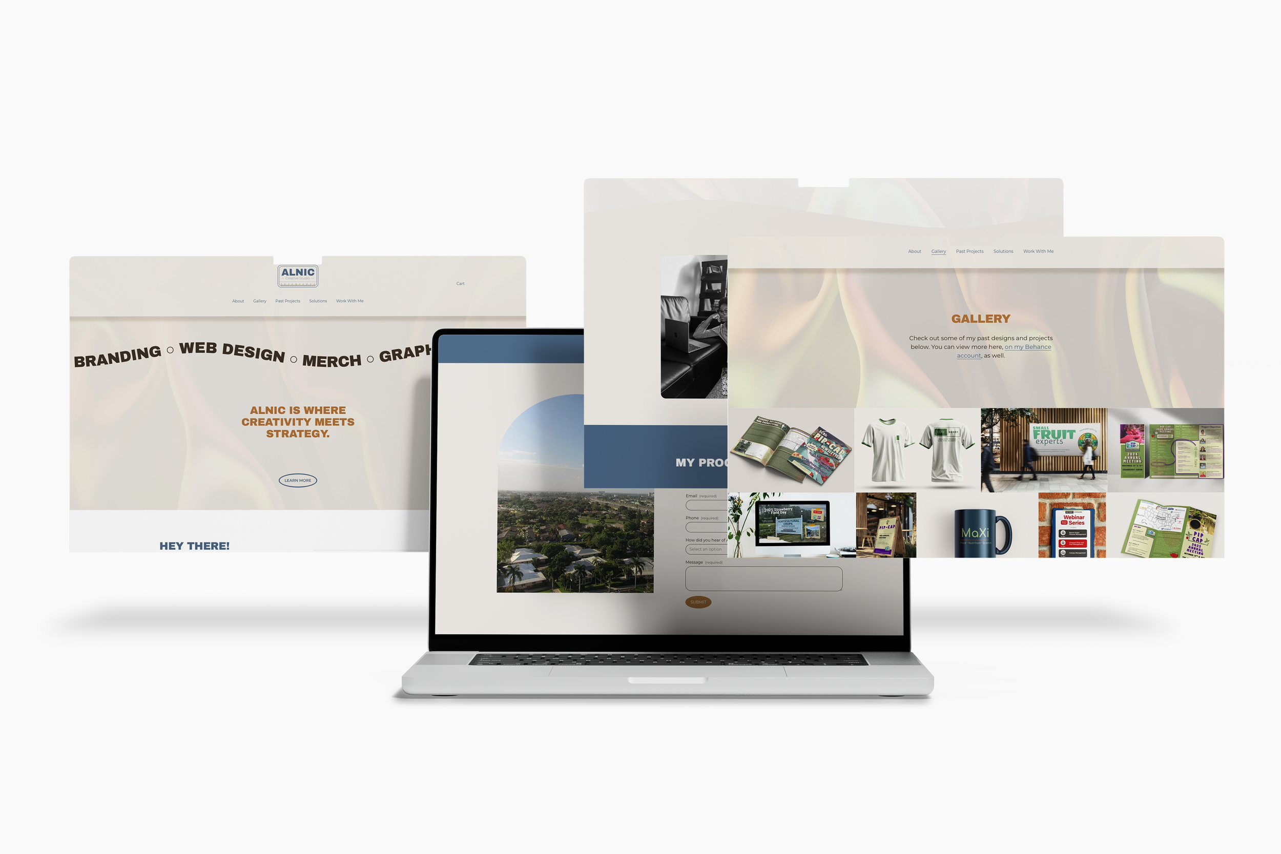 alnic website.png