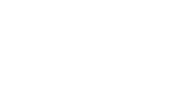 2CNN.png