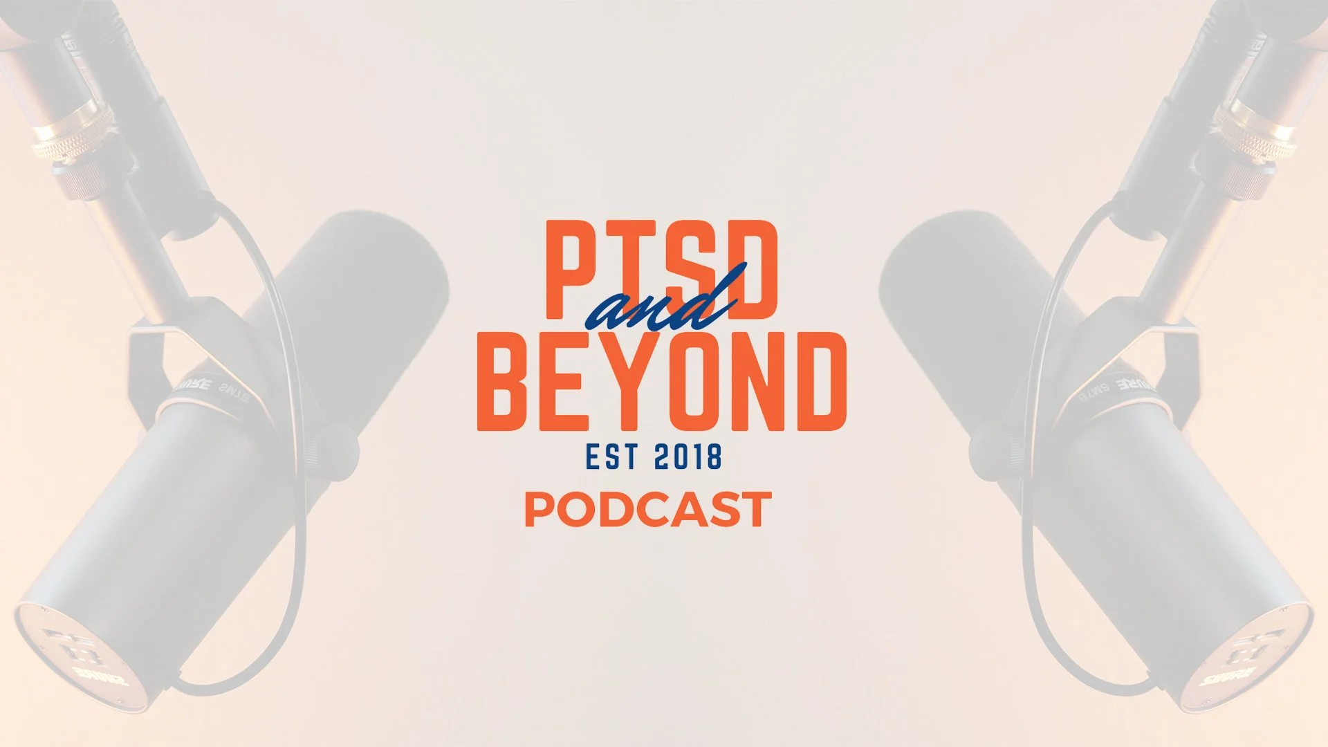 PTSD and Beyond Podcast: Brothers After War with Director Jake Rademacher