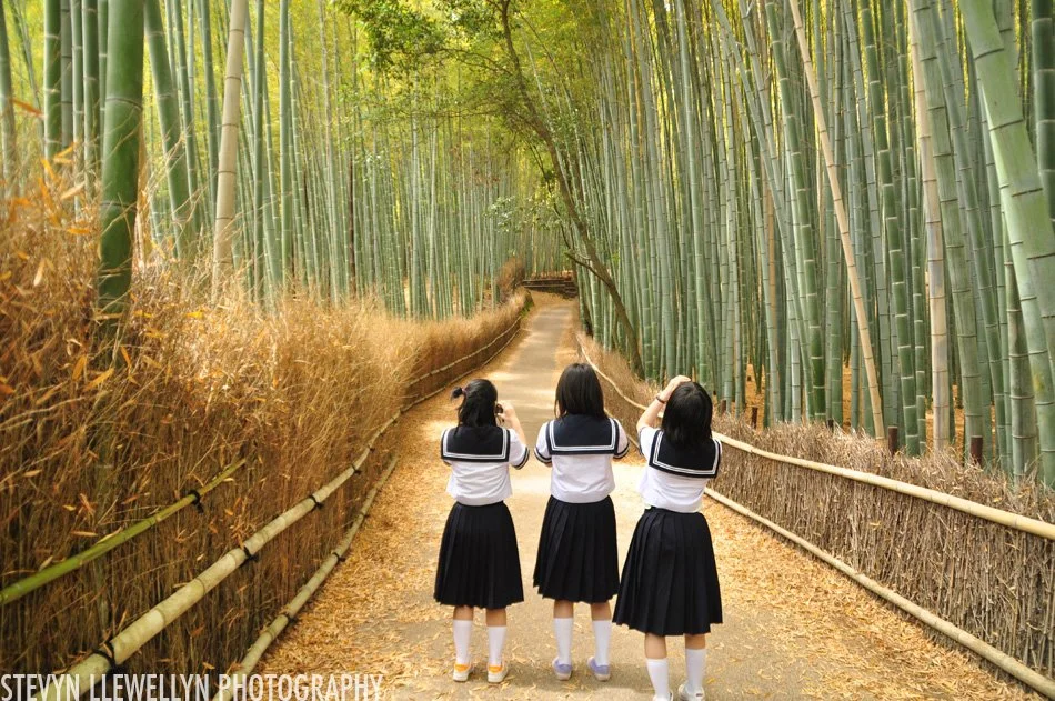 Arashiyama, Japan, 2010 - featured in National Geographic's Your shot