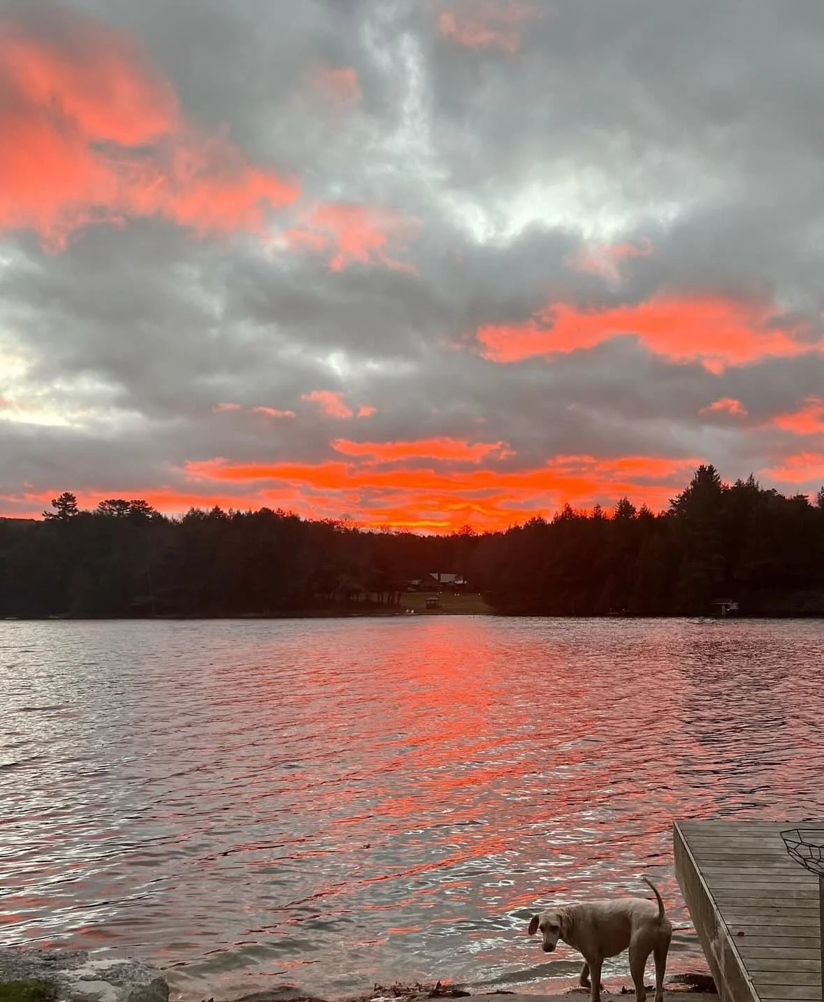 sunset-magic.jpeg