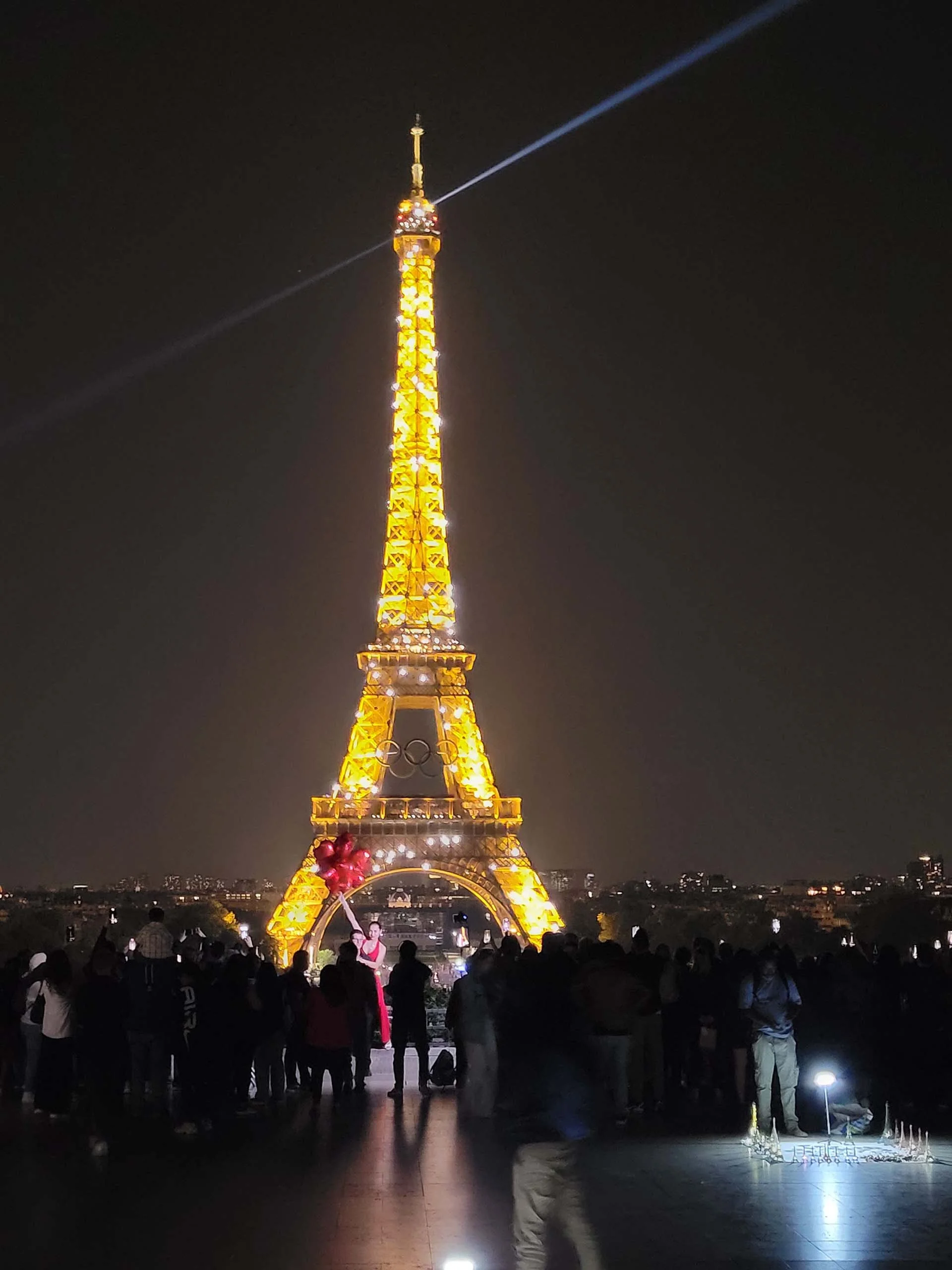the Eiffel Tower lit up at night